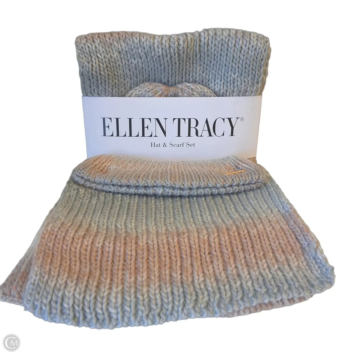 Scarf Winter By Ellen Tracy In Multi-colored
