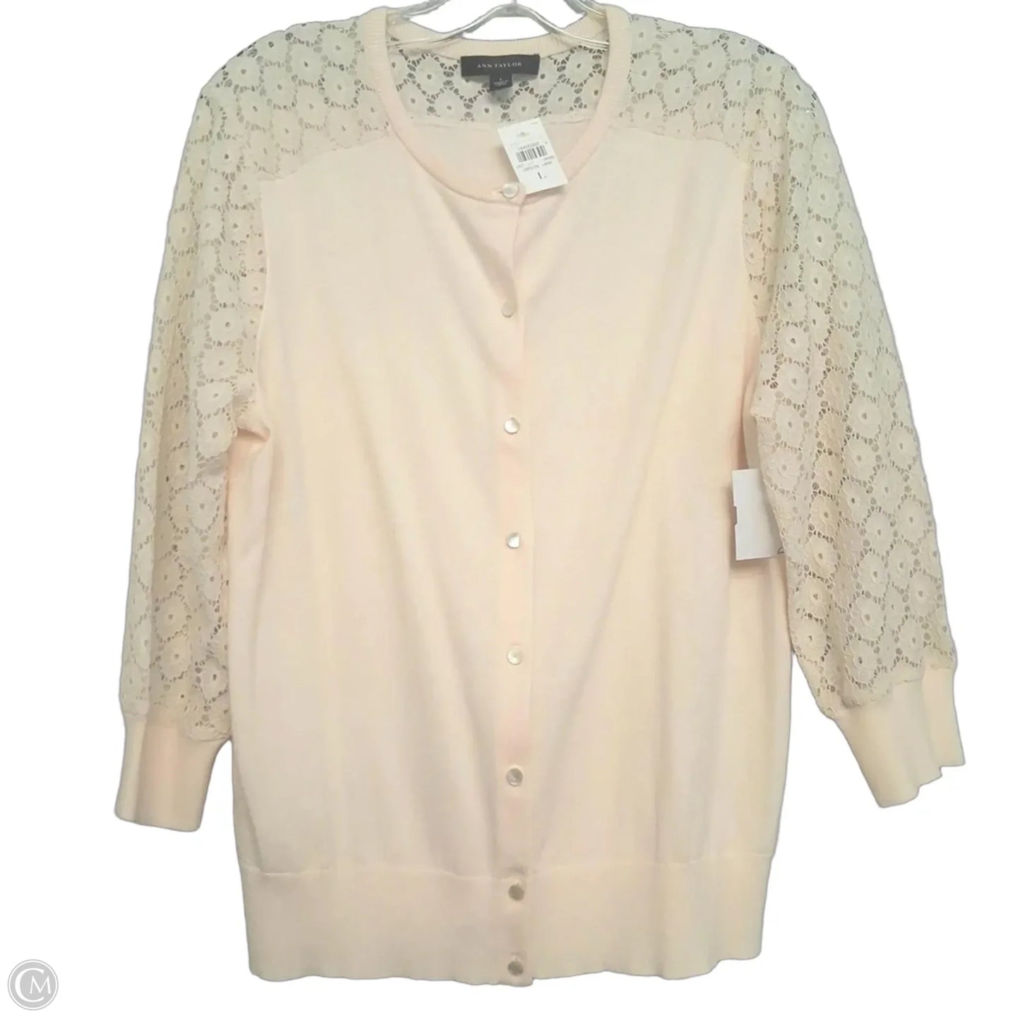 Sweater Cardigan By Ann Taylor In Cream, Size: L