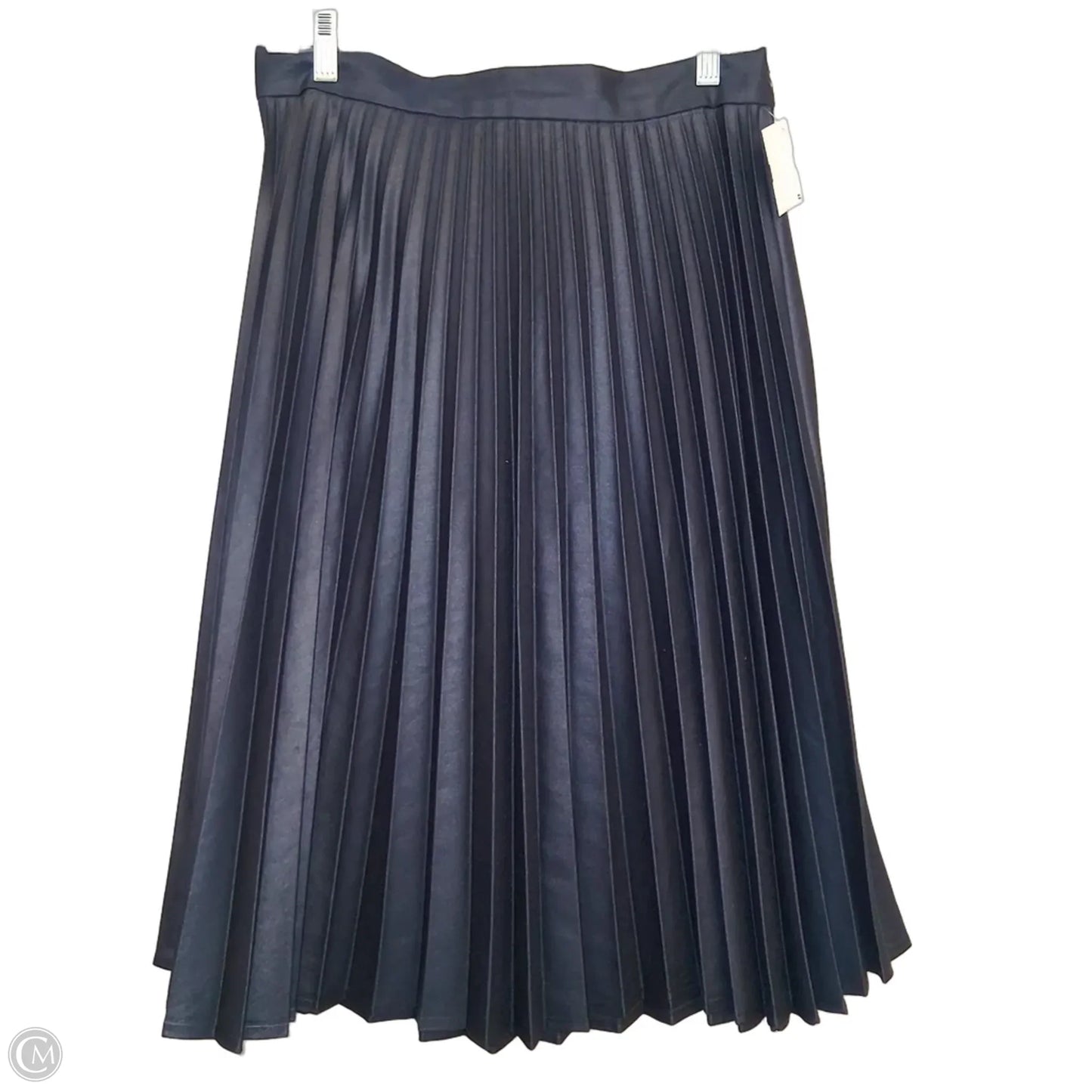 Skirt Midi By Zara Women In Blue, Size: L