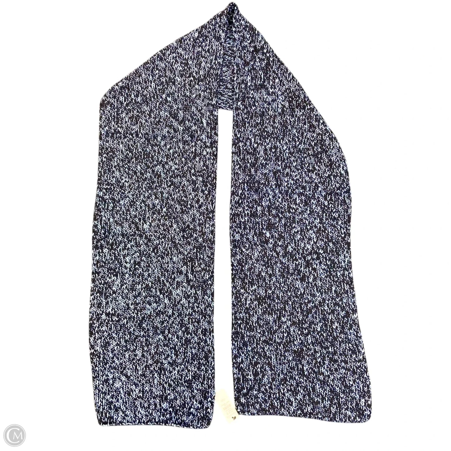 Scarf Winter By Talbots In Blue