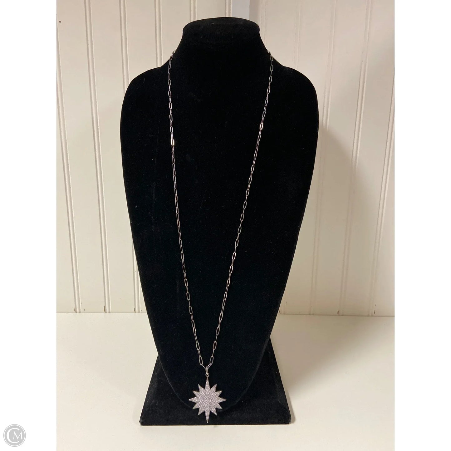 Necklace Pendant By Clothes Mentor, Size: 1