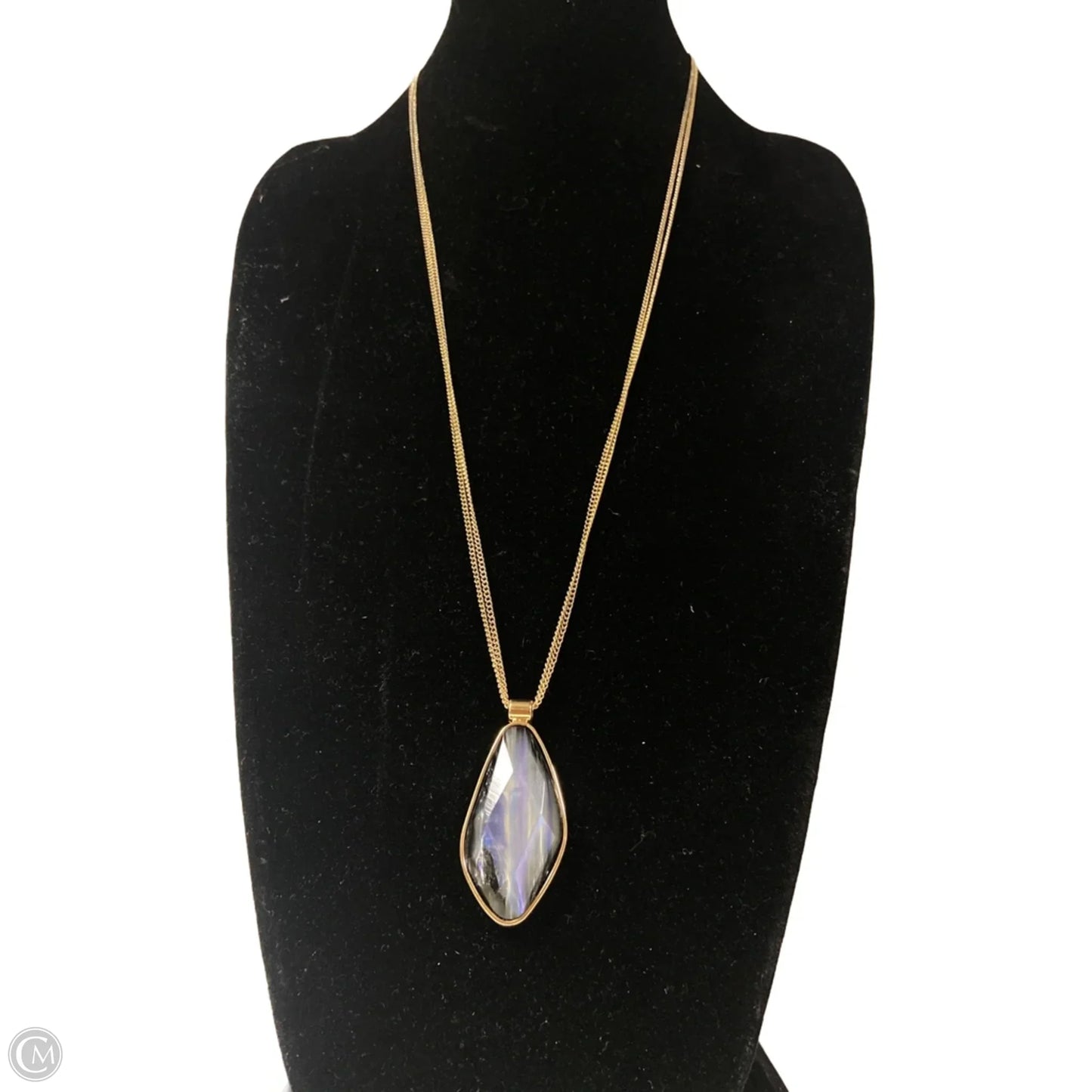 Necklace Pendant By Clothes Mentor