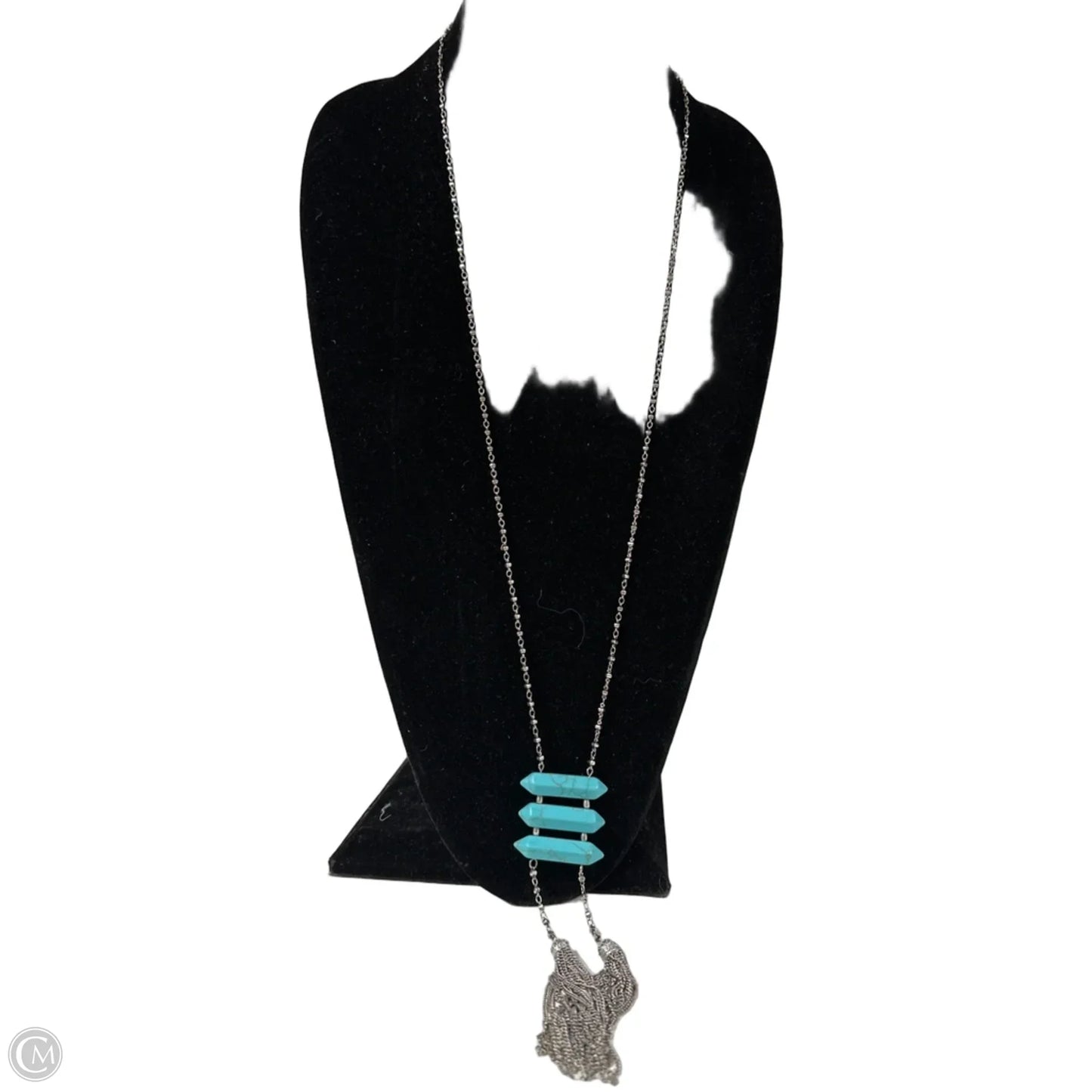 Necklace Lariat & Y-drop By Charming Charlie