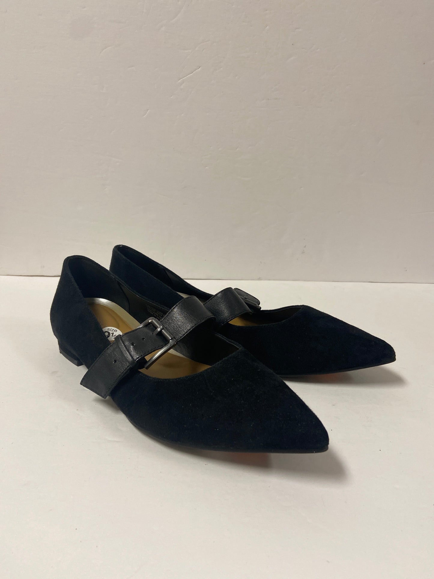 Shoes Flats By Aerosoles  Size: 9.5