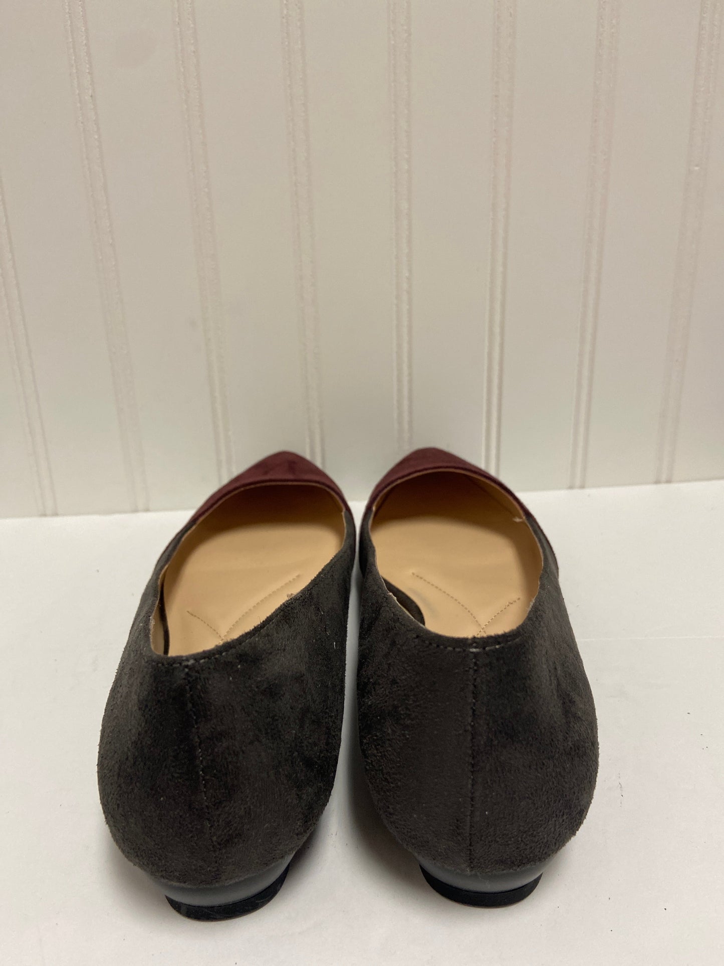 Shoes Flats By Andrew Gellar  Size: 8