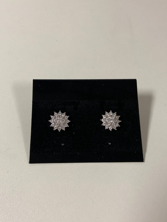 Earrings Stud By Express