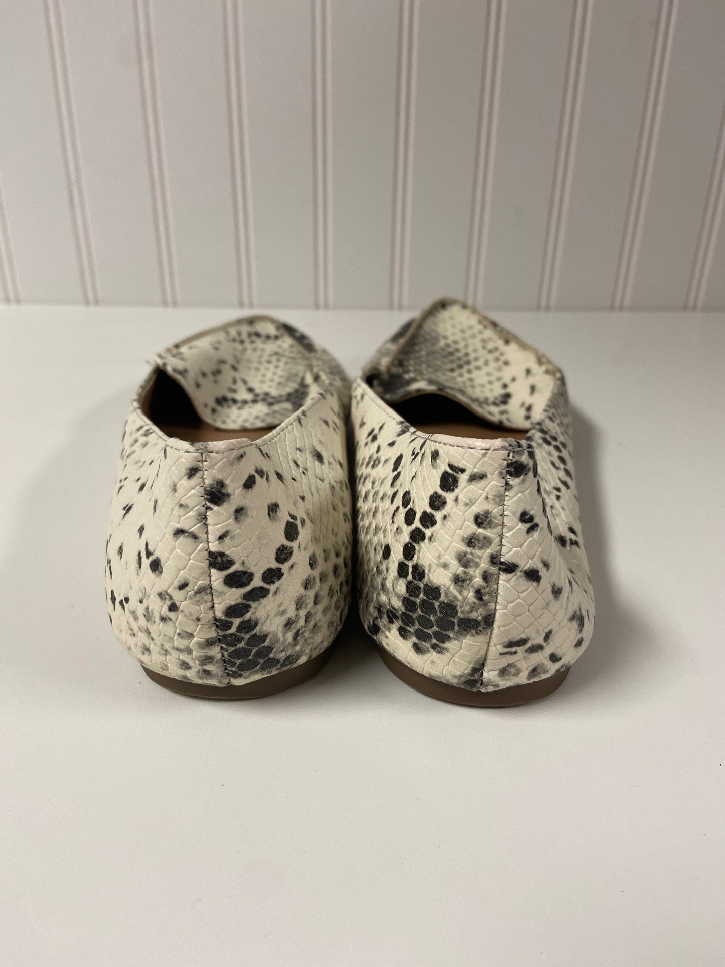 Snakeskin Print Shoes Flats Madden Girl, Size 8.5