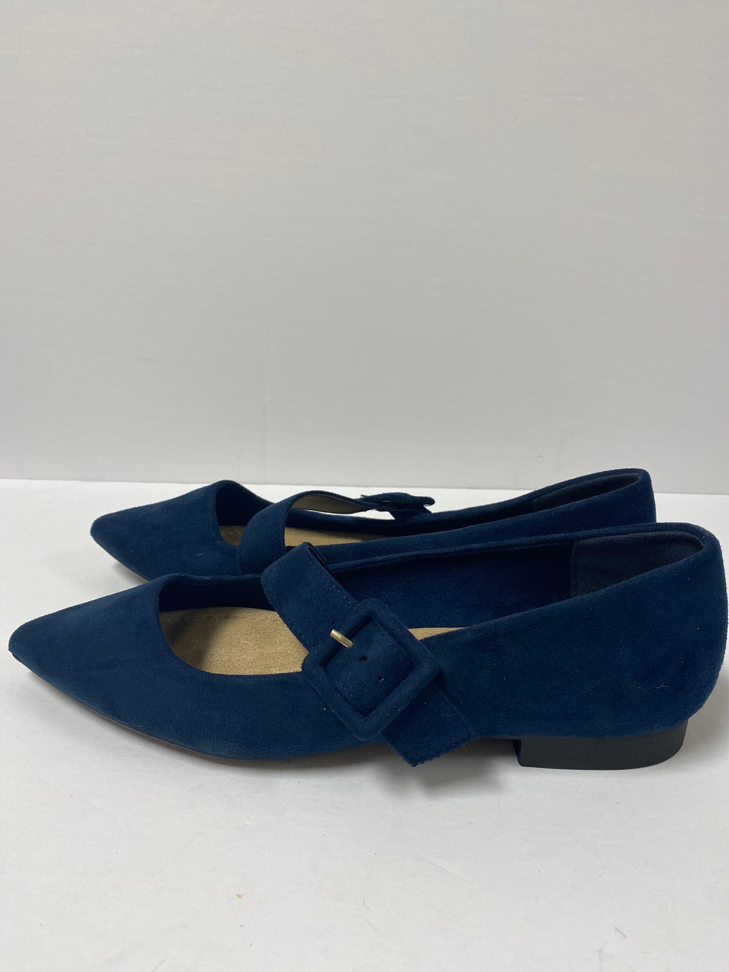 Shoes Flats Ballet By Clothes Mentor  Size: 9