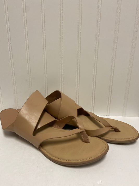 Sandals Flip Flops By Lane Bryant  Size: 10