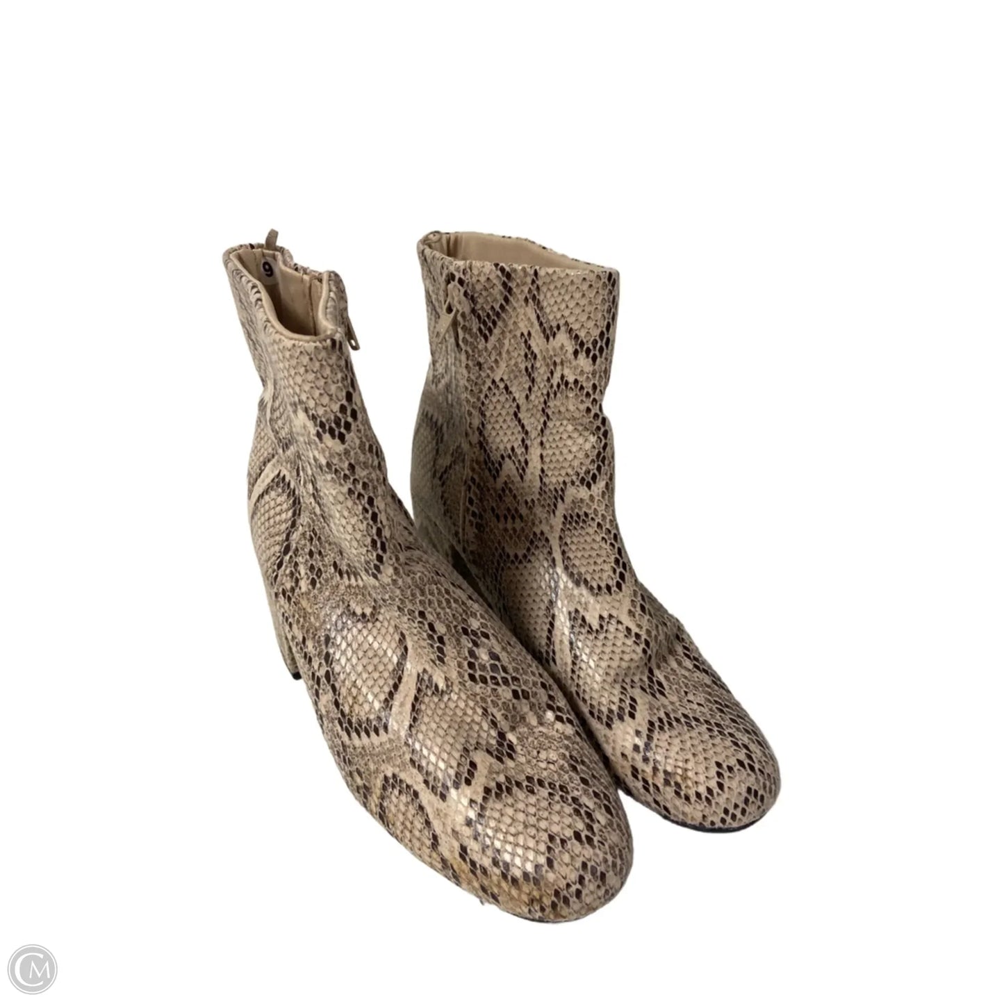 Boots Ankle Heels By Old Navy In Snakeskin Print, Size: 9