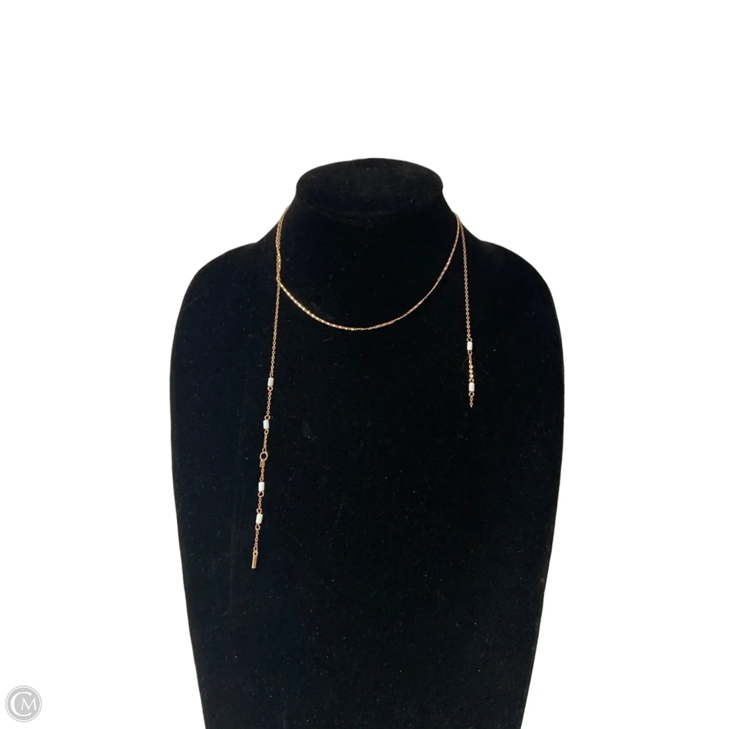 Necklace Lariat & Y-drop By Clothes Mentor, Size: 1