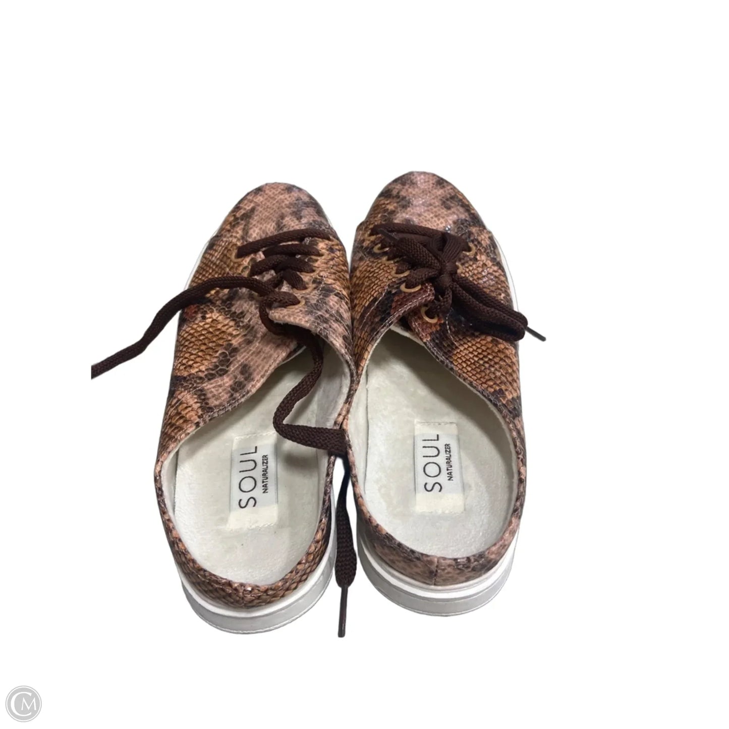 Shoes Flats By Naturalizer In Snakeskin Print, Size: 8.5