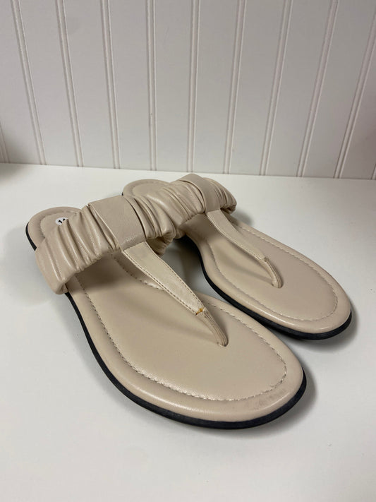 Sandals Flats By Aerosoles  Size: 11