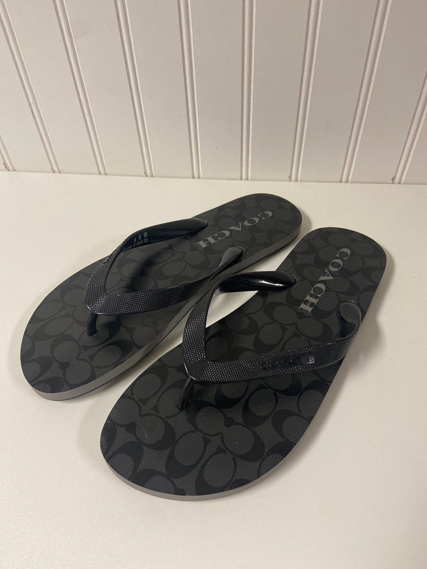 Sandals Designer By Coach In Grey