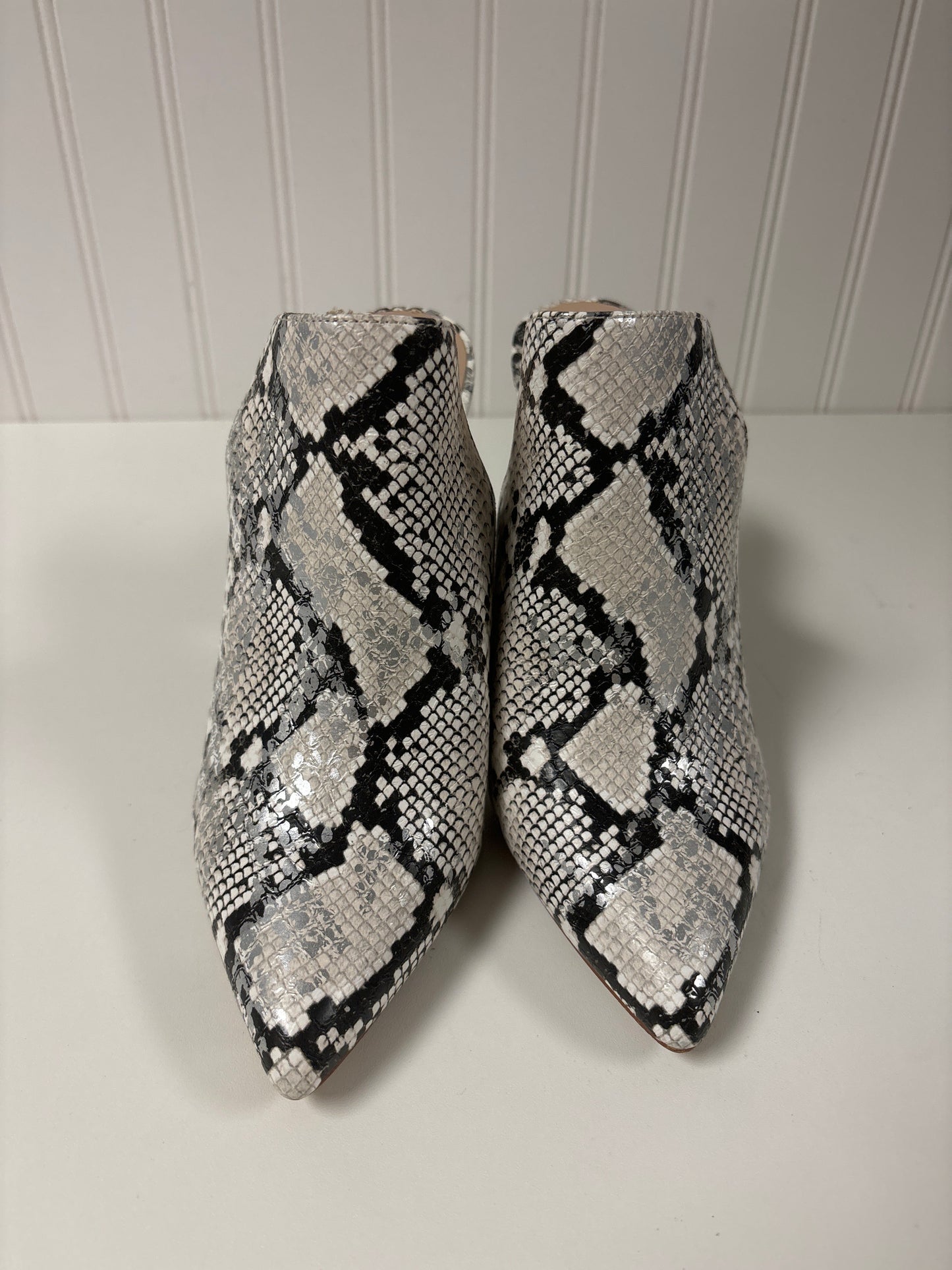 Snakeskin Print Shoes Heels Block Aldo, Size 8
