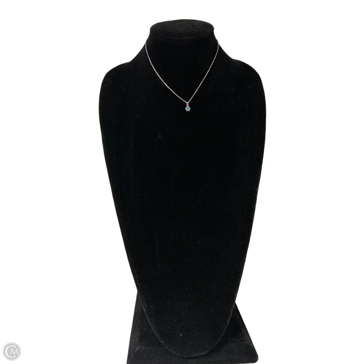 Necklace Chain By Clothes Mentor