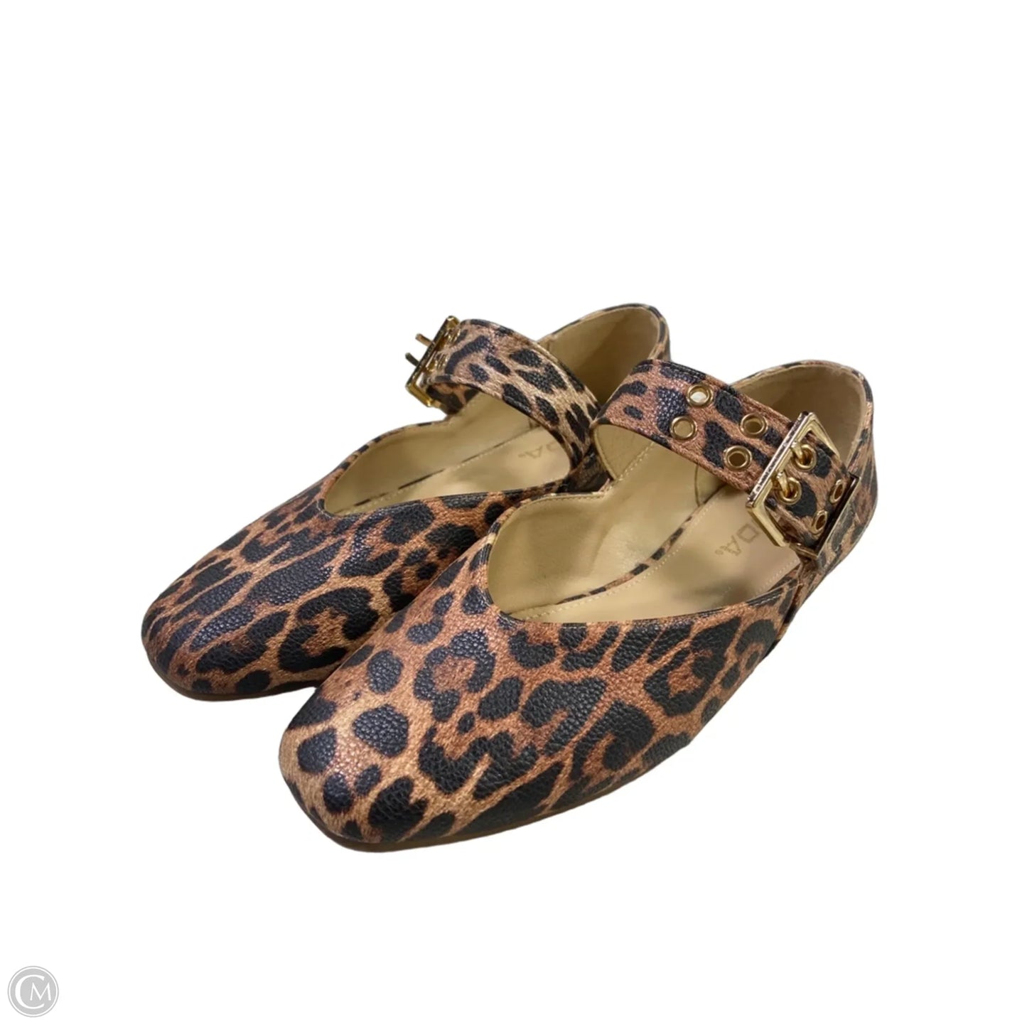 Shoes Flats By Soda In Animal Print, Size: 6