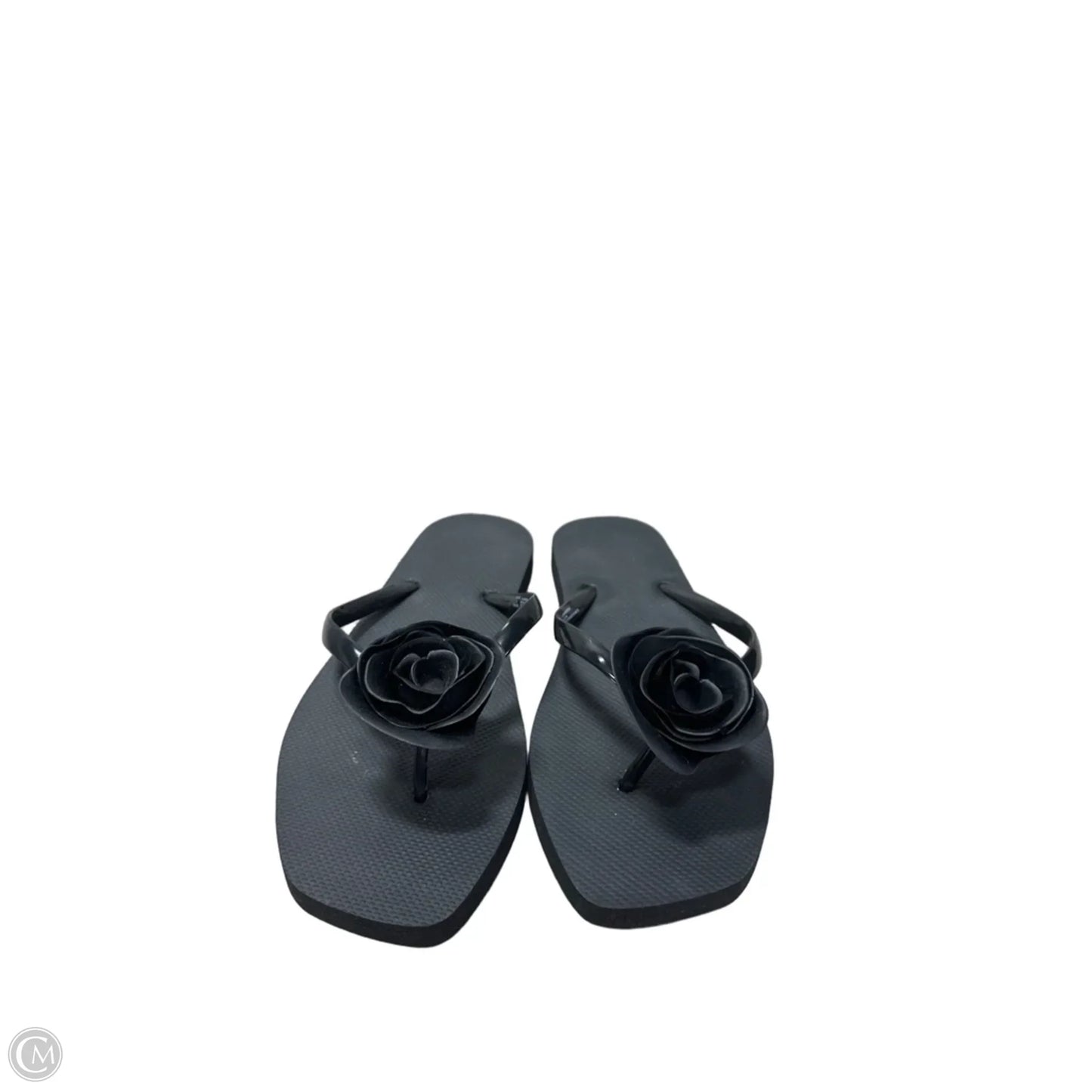 Sandals Flip Flops By Shade & Shore In Black, Size: 9