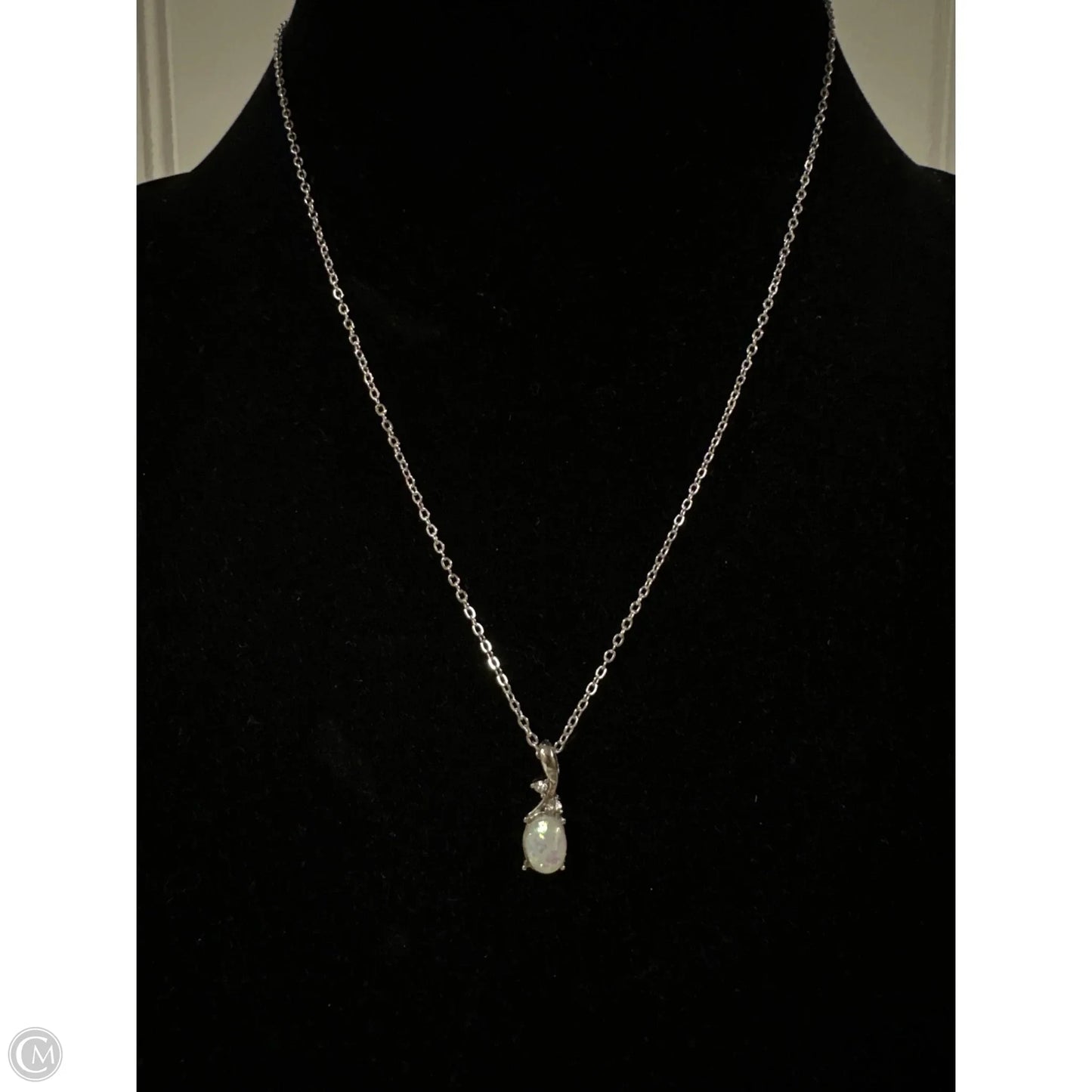 Necklace Charm By Clothes Mentor, Size: 1