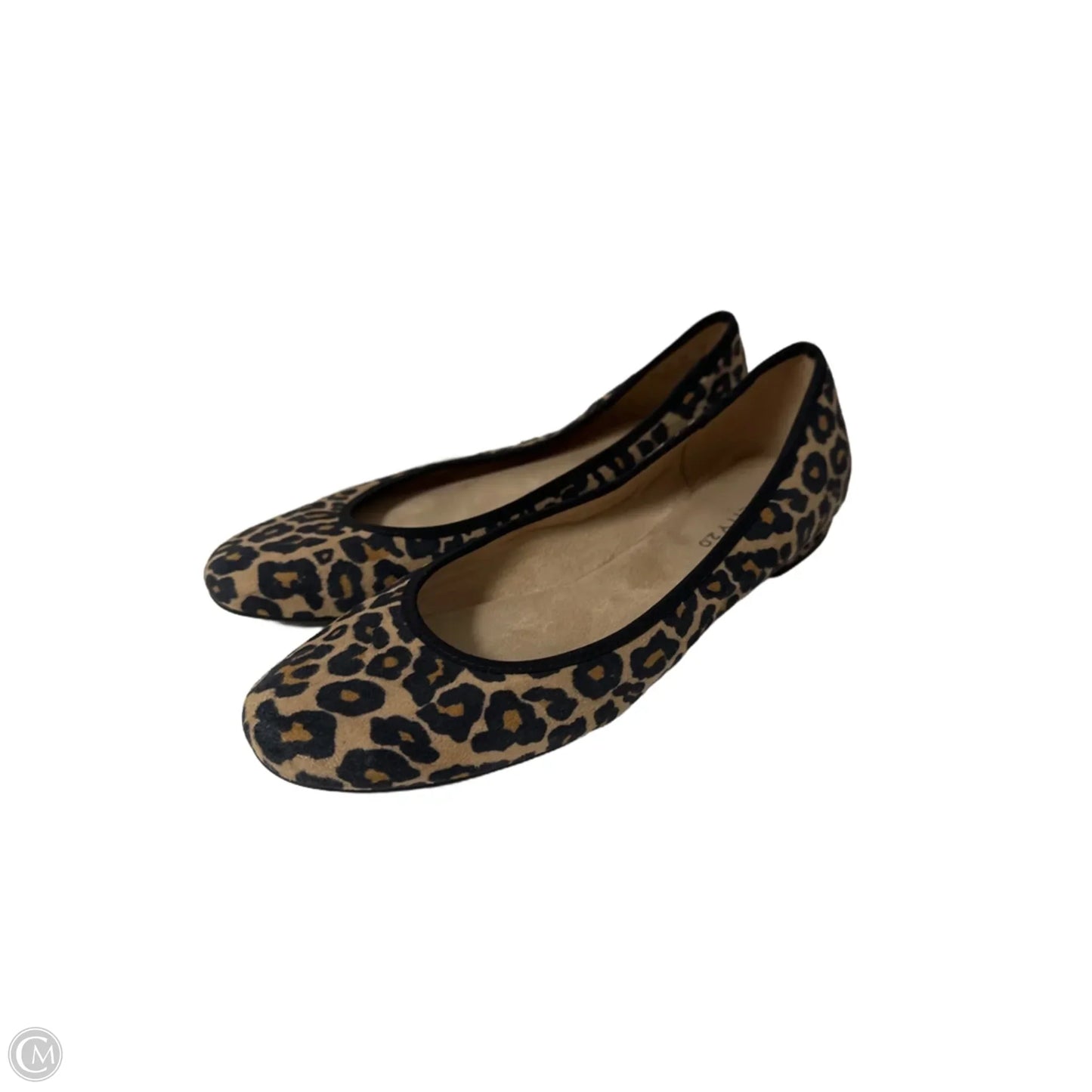 Shoes Flats By Velocity In Animal Print, Size: 8