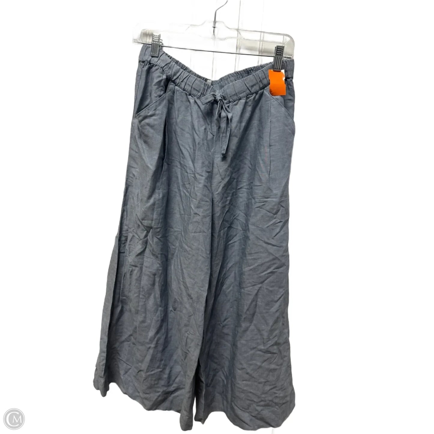 Pants Wide Leg By Haven In Blue, Size: 8