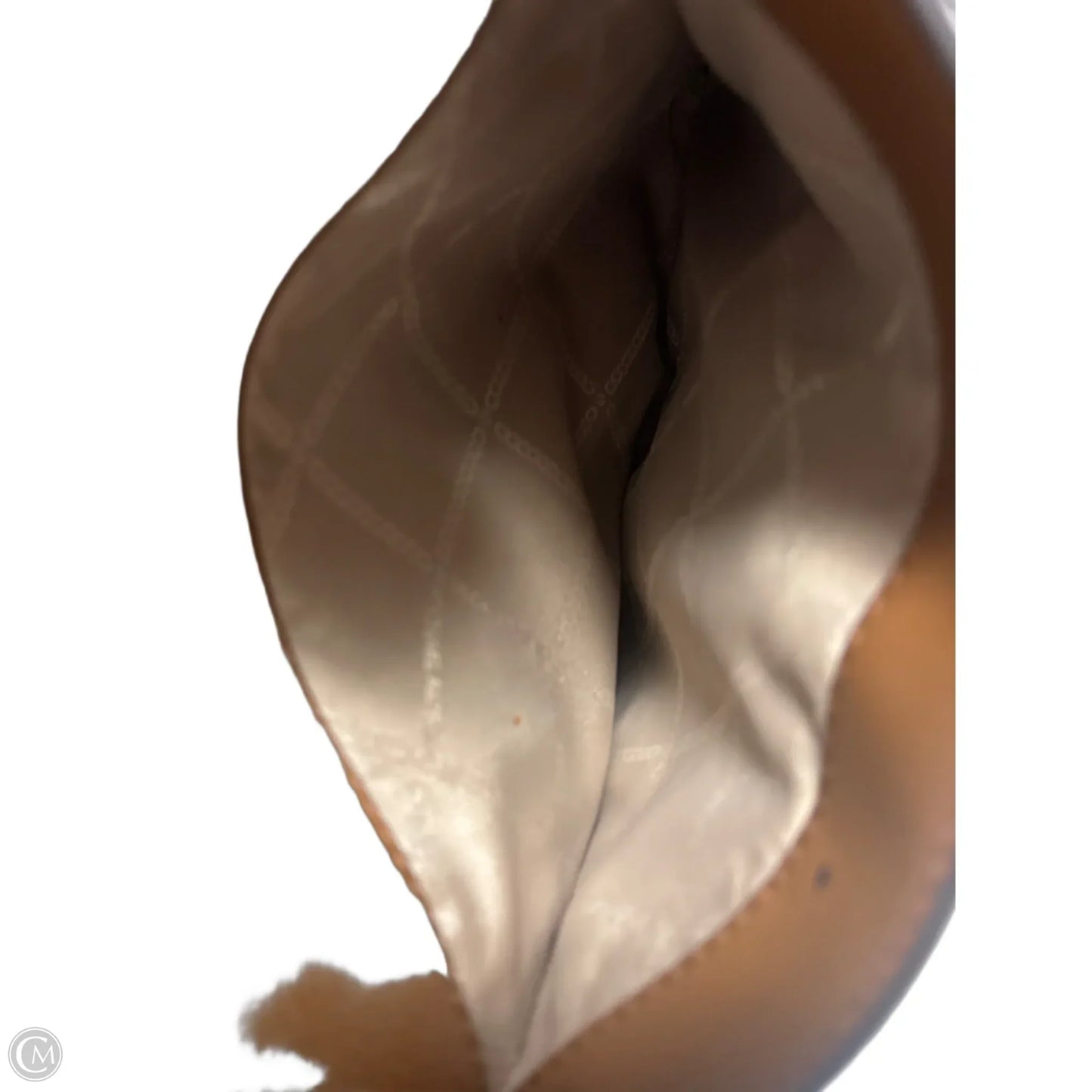 Crossbody Designer By Michael Kors, Size: Small