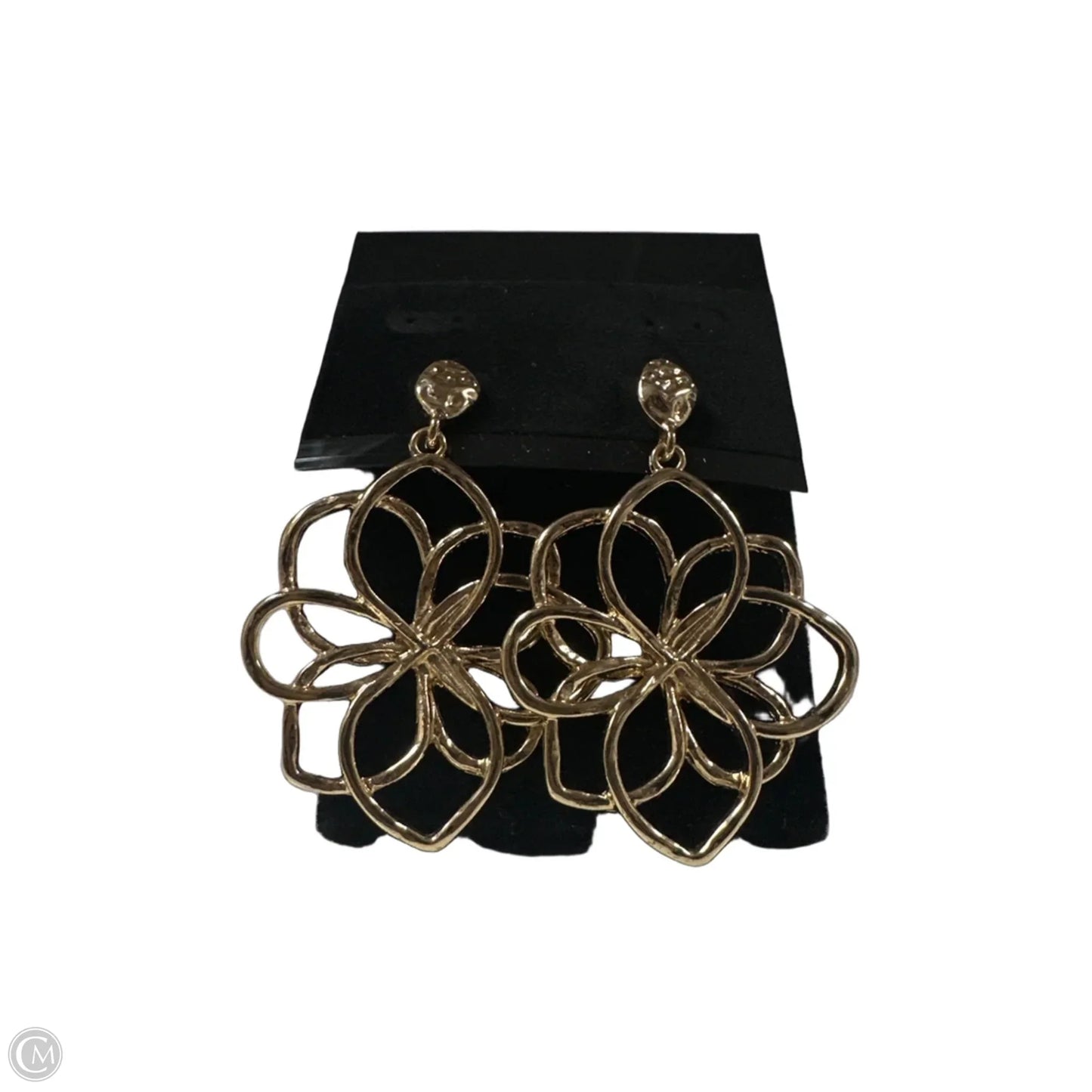 Earrings Dangle/drop By Clothes Mentor