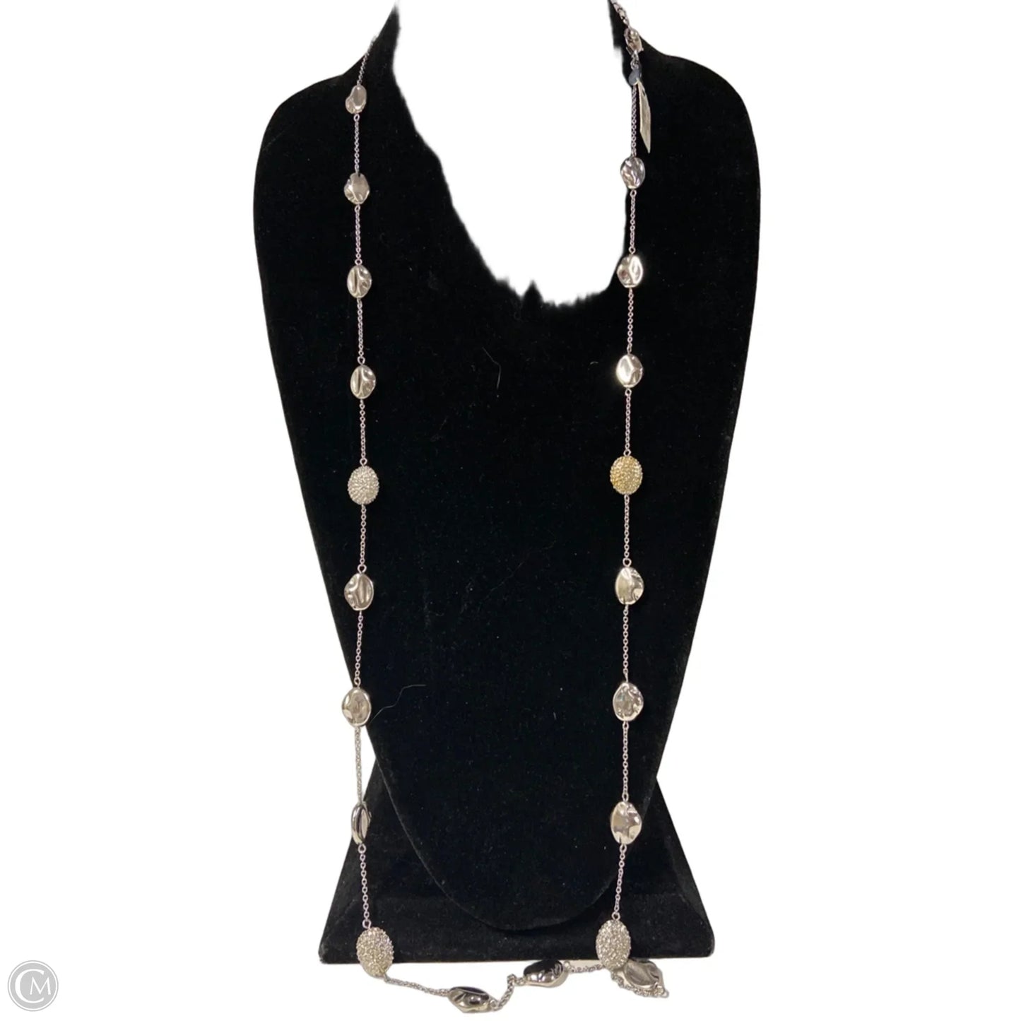 Necklace Chain By Chicos