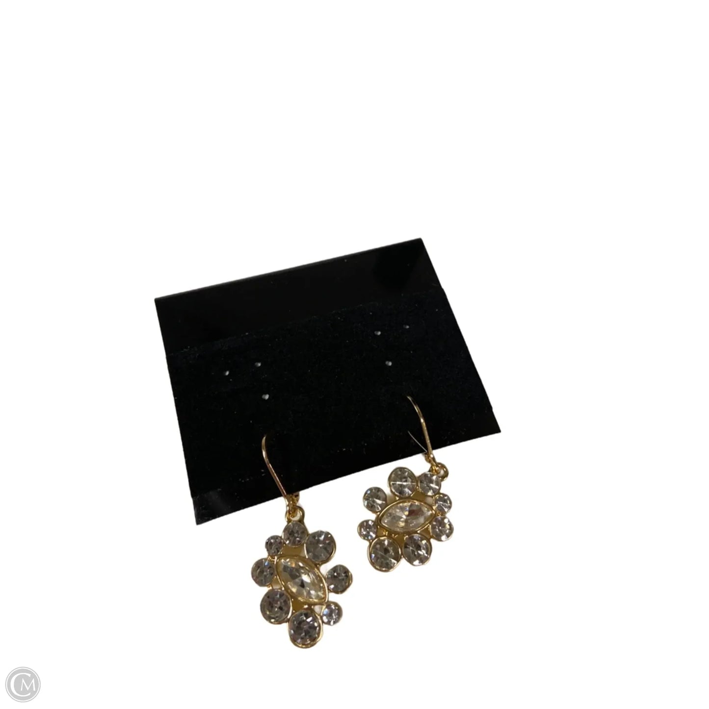 Earrings Dangle/drop By Clothes Mentor