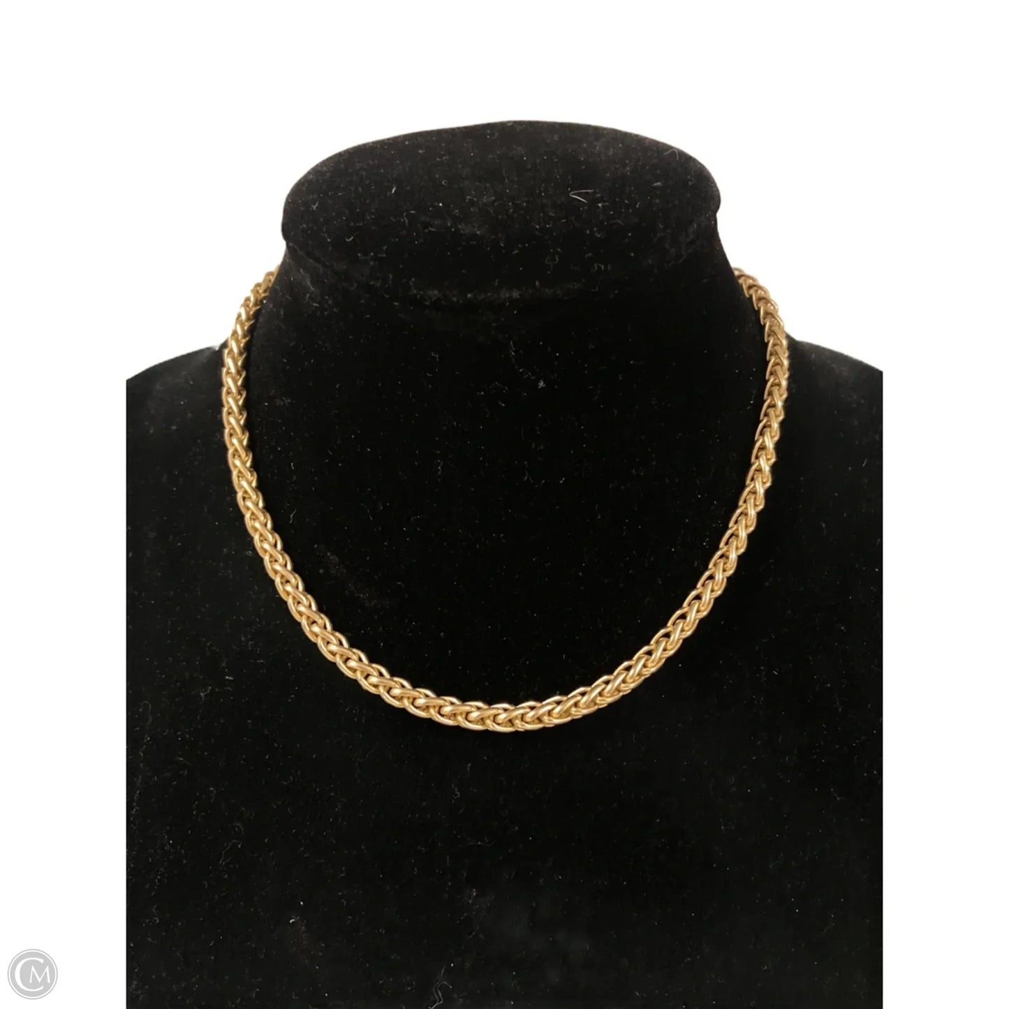 Necklace Chain By Express