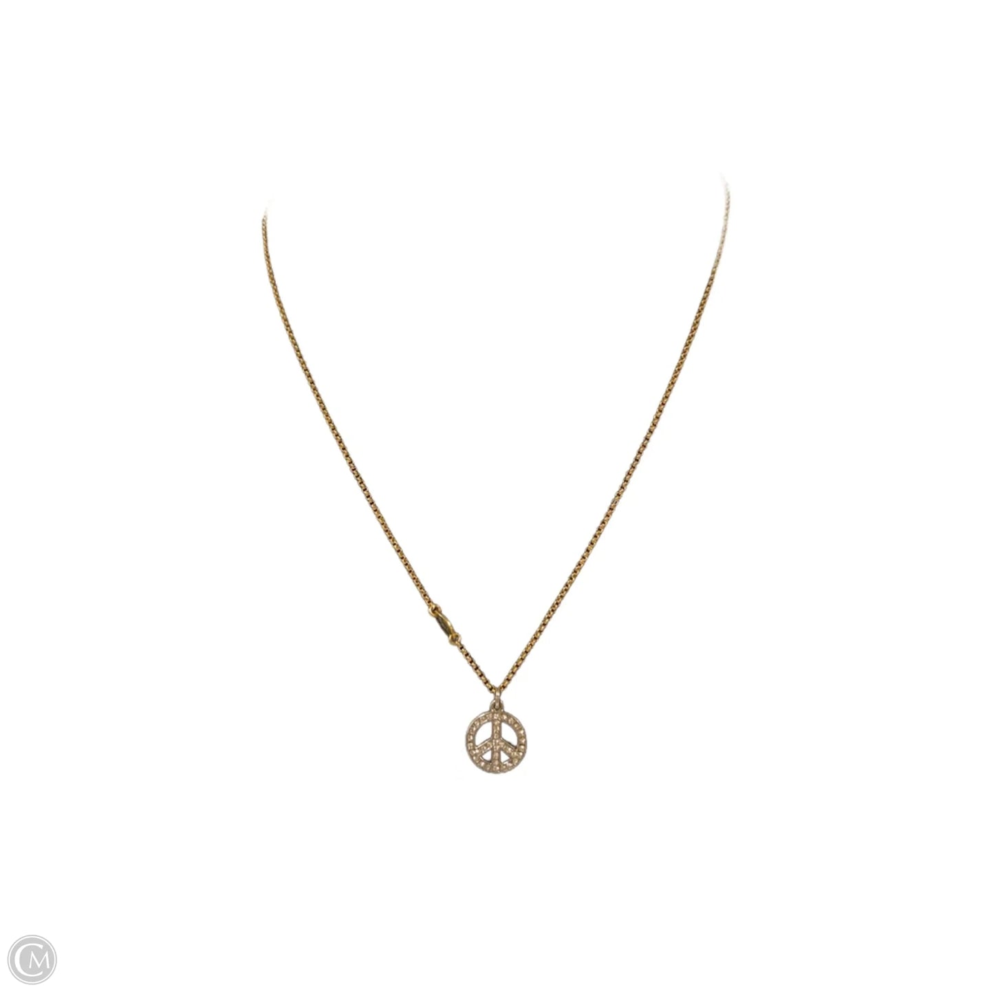 Necklace Chain By Juicy Couture, Size: 9.5