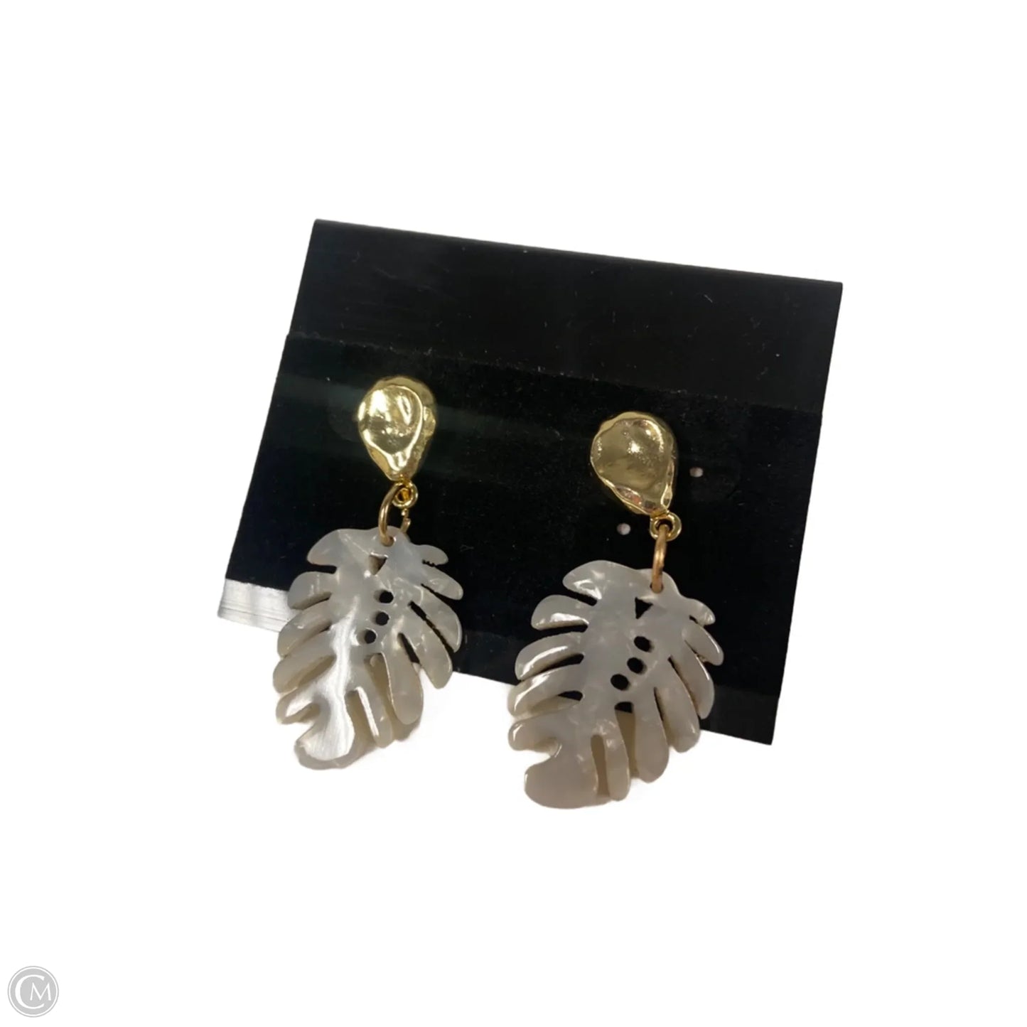 Earrings Dangle/drop By Clothes Mentor