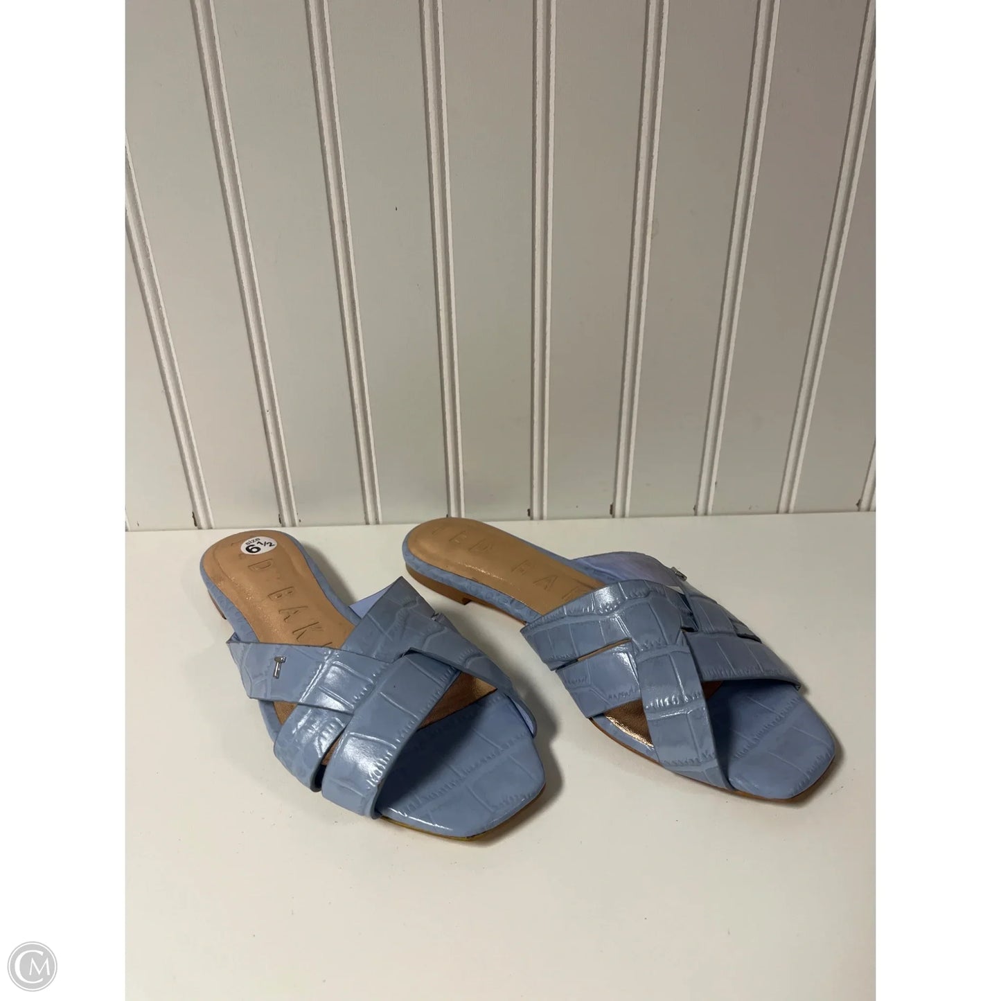 Sandals Flats By Ted Baker In Blue, Size: 6.5