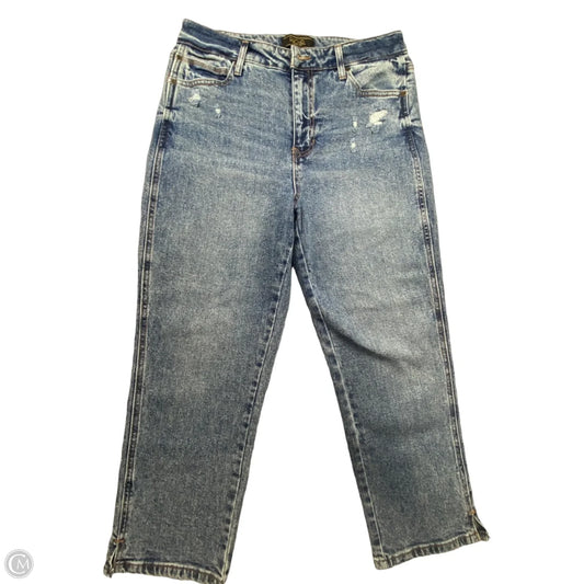 Jeans Straight By Rachel Zoe In Blue, Size: 10