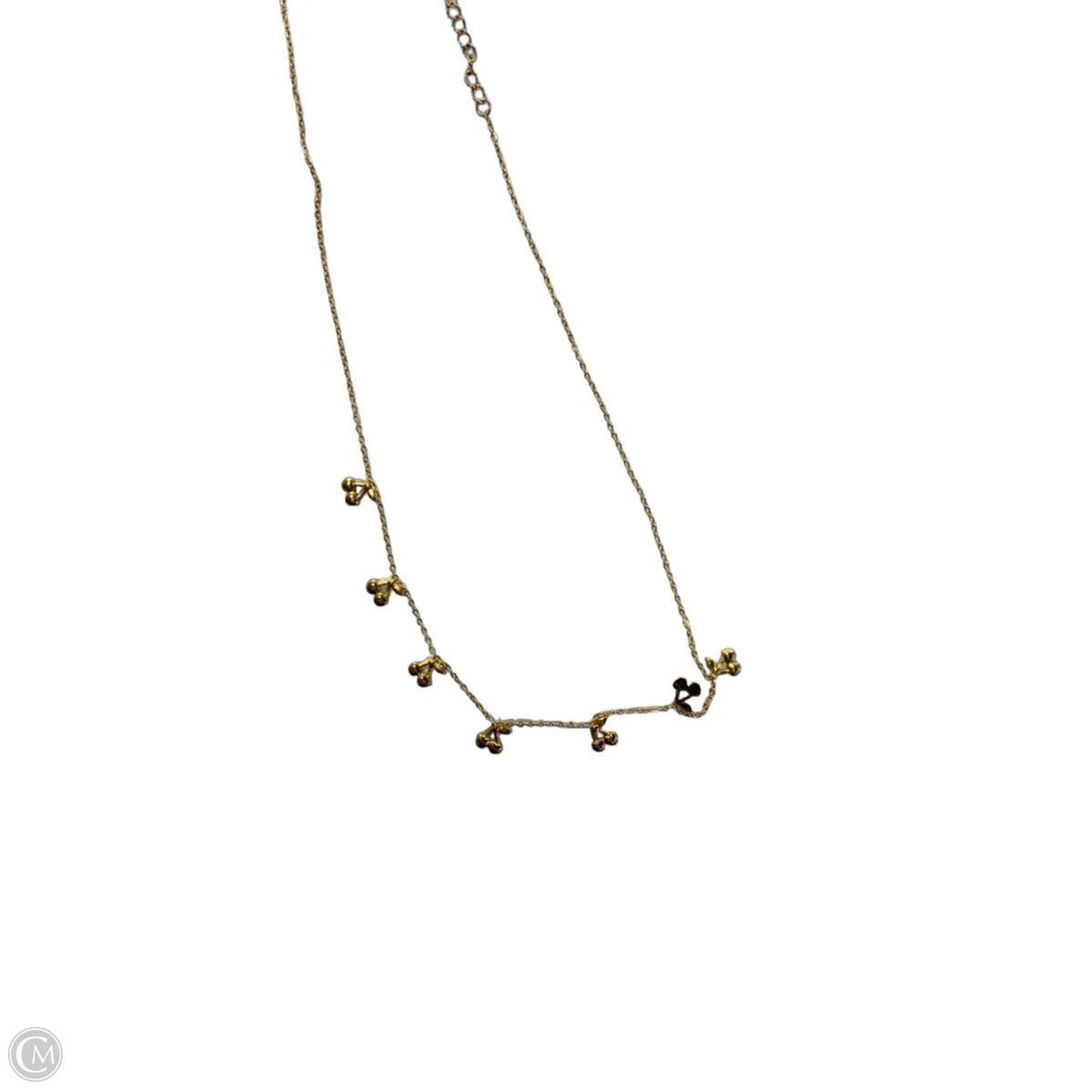 Necklace Chain By Clothes Mentor