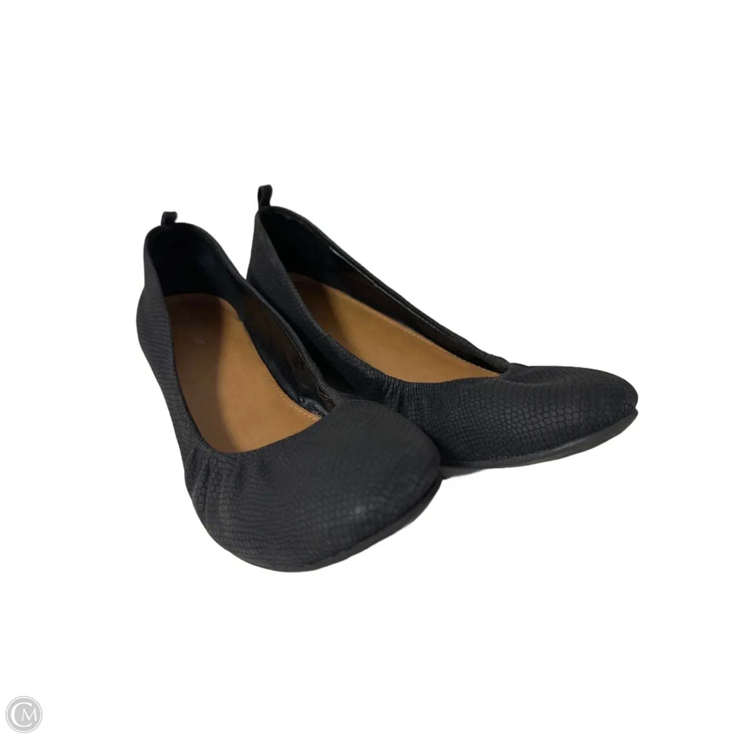 Shoes Flats By Style And Company In Black, Size: 8