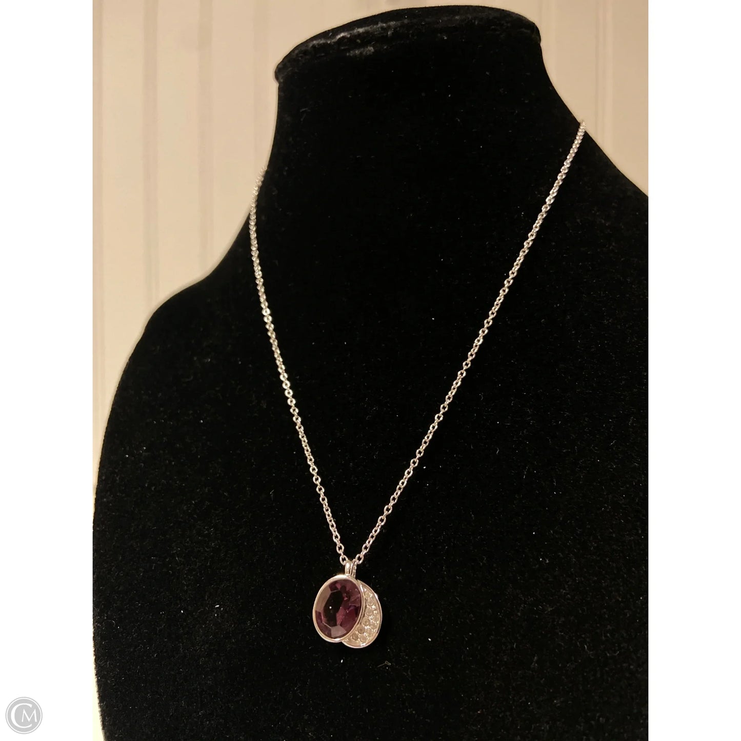 Necklace Charm By Clothes Mentor