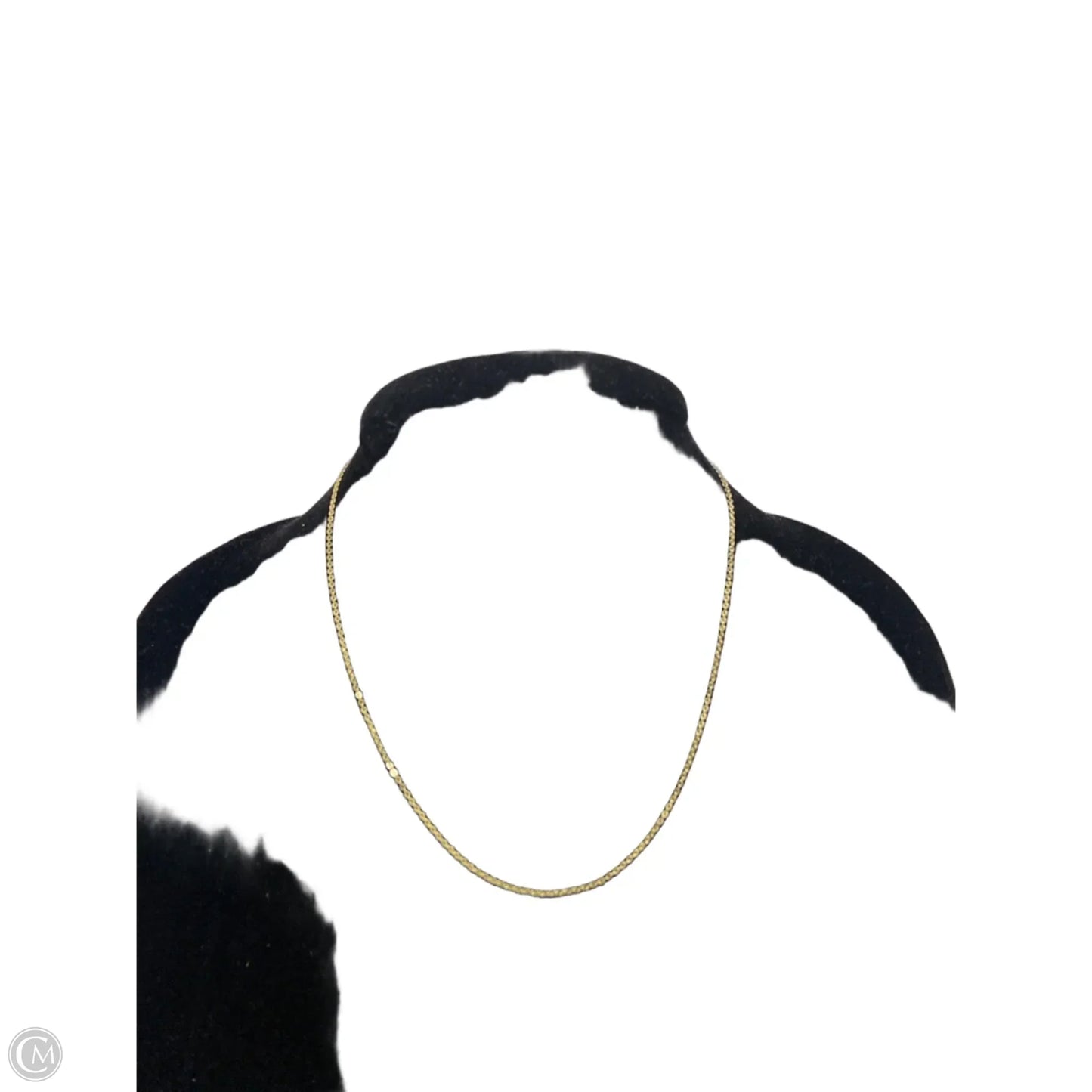 Necklace Chain By Clothes Mentor