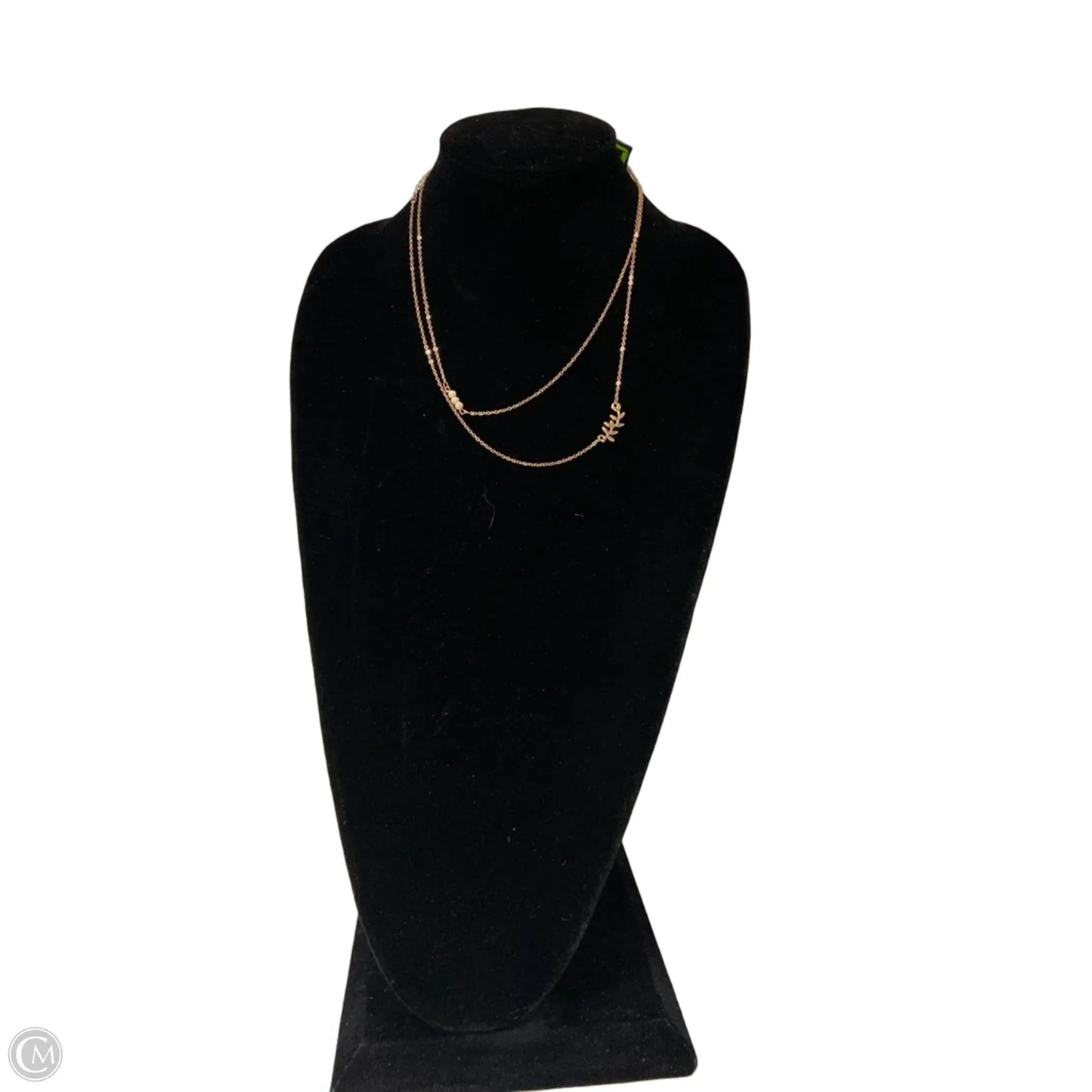 Necklace Chain By Clothes Mentor, Size: 02 Piece Set