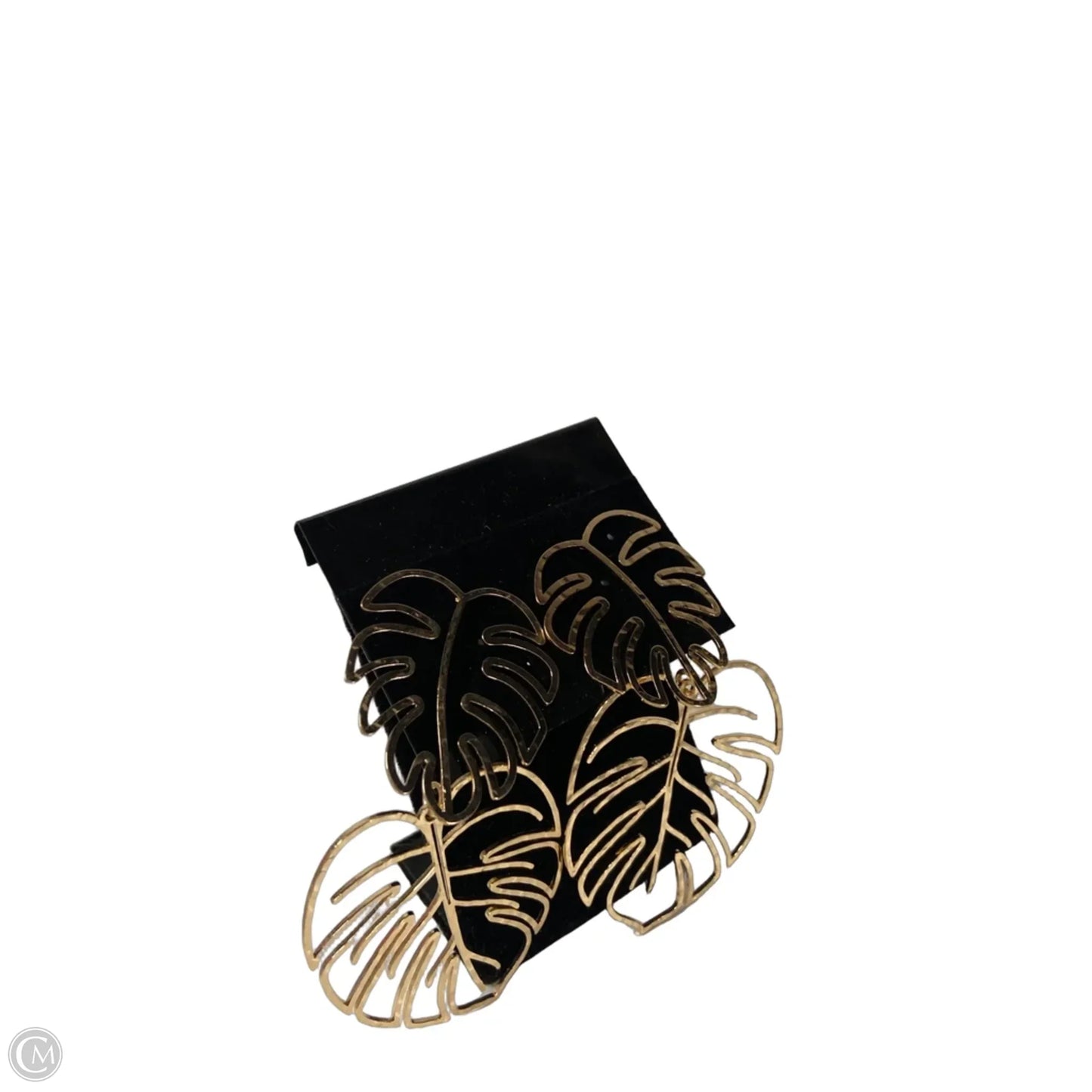Earrings Dangle/drop By A New Day