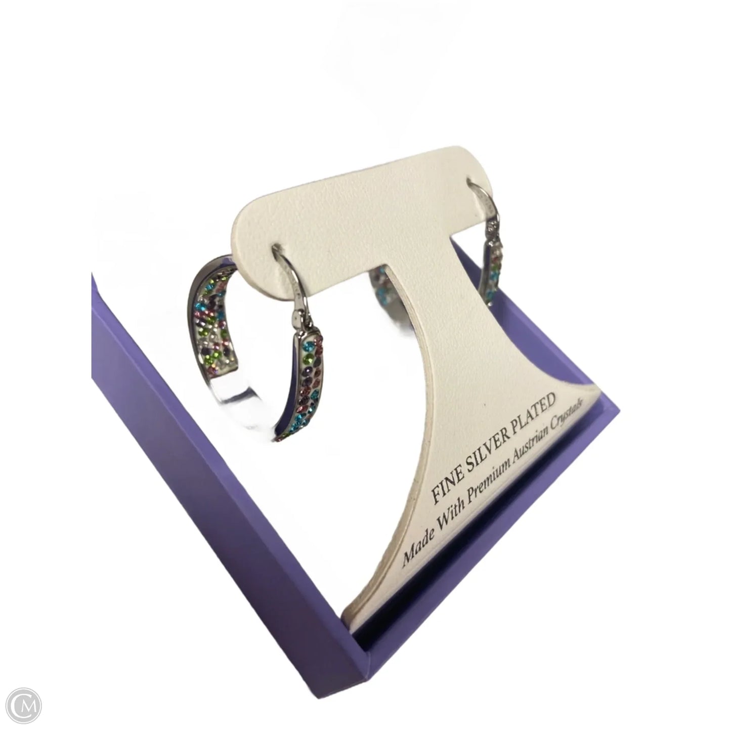 Earrings Hoop By Clothes Mentor