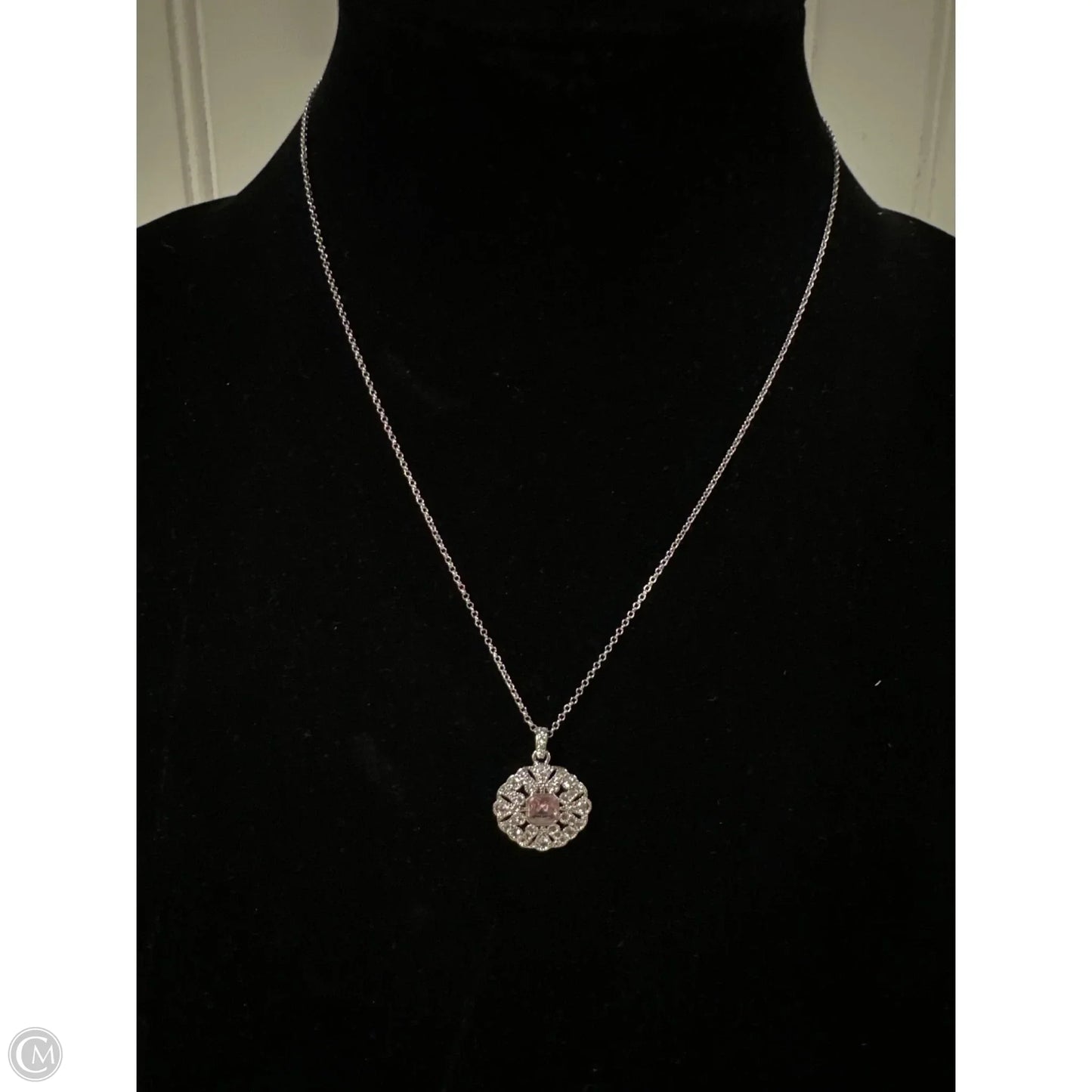 Necklace Chain By Clothes Mentor