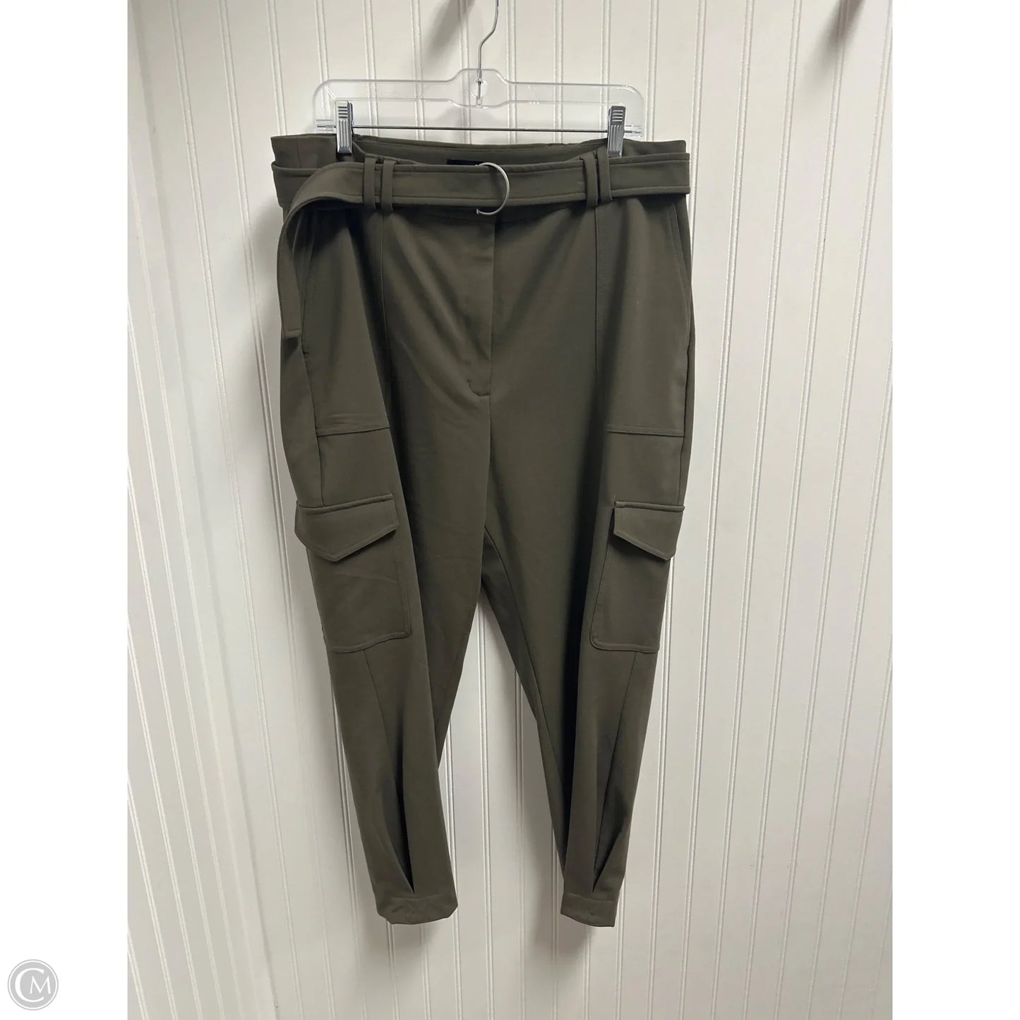 Pants Cargo & Utility By Express In Green, Size: 16