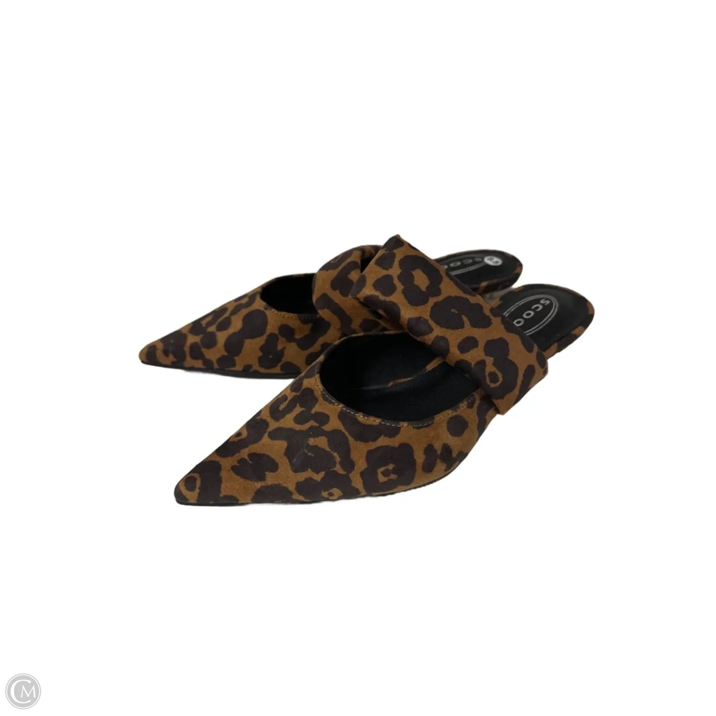 Shoes Heels Kitten By Scoop In Animal Print, Size: 8.5