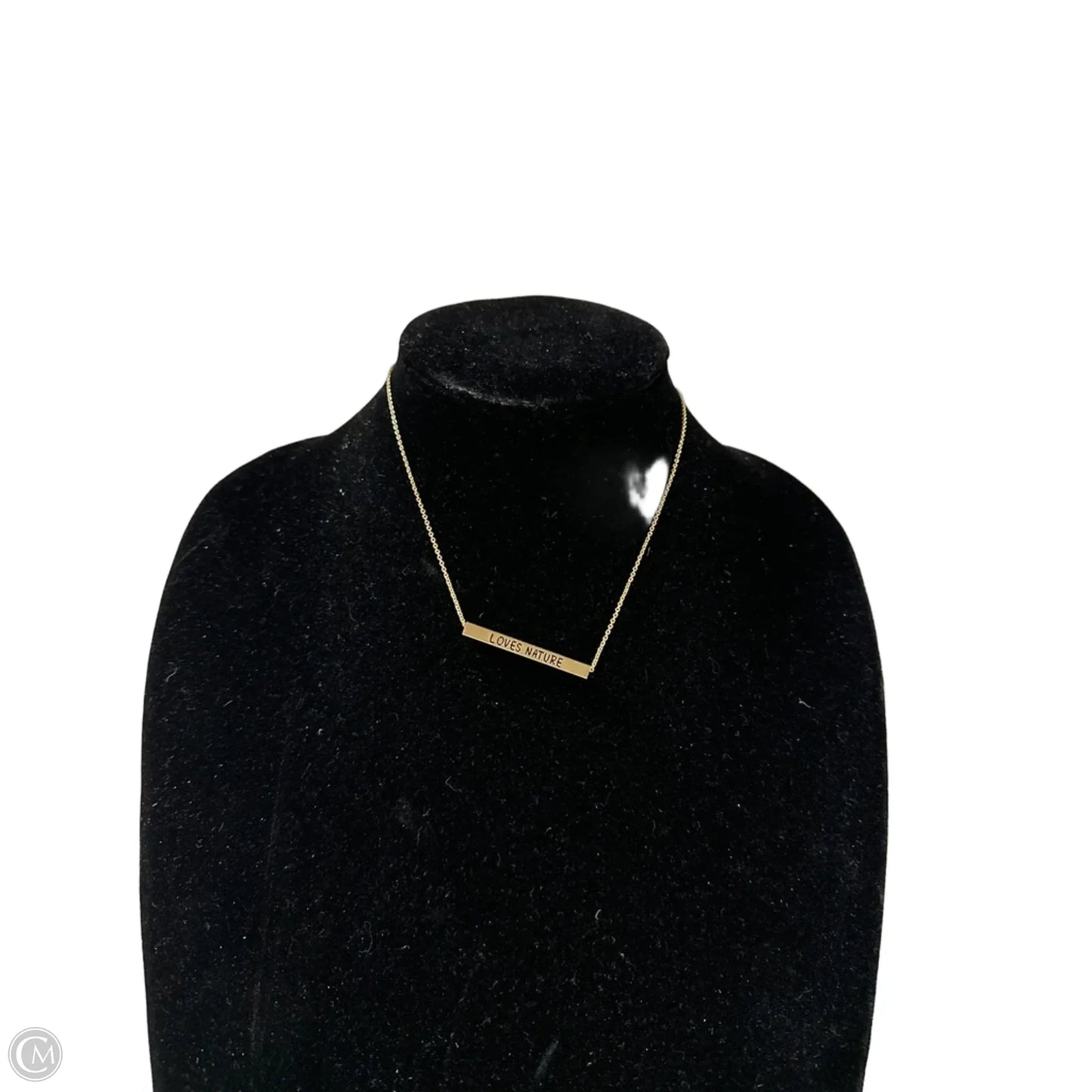 Necklace Pendant By Clothes Mentor, Size: 1