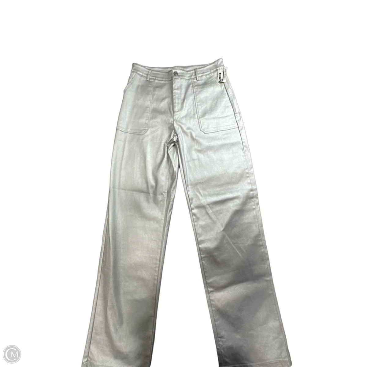 Pants Dress By Windsor In Silver, Size: L