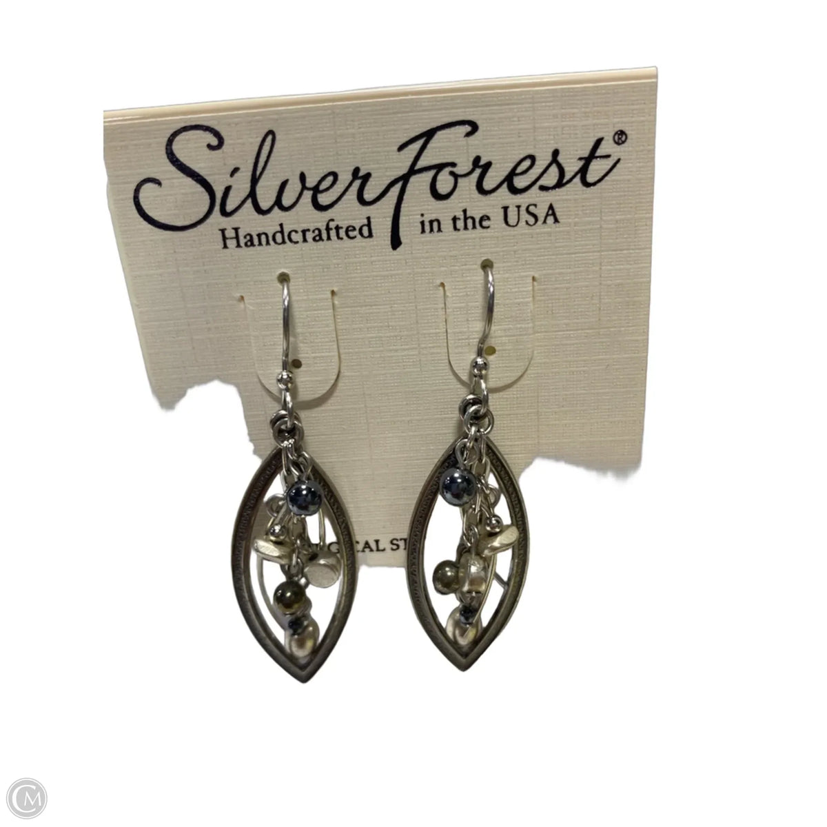 Earrings Dangle/drop By Clothes Mentor, Size: 1