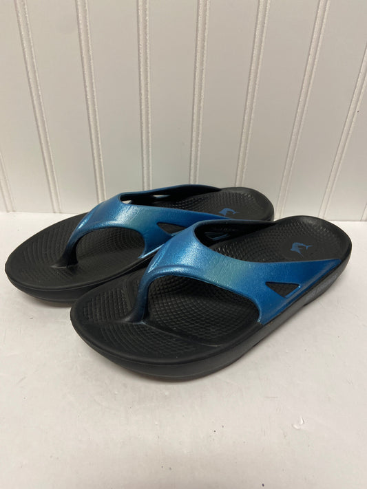 Sandals Flip Flops By Reel Legends  Size: 9