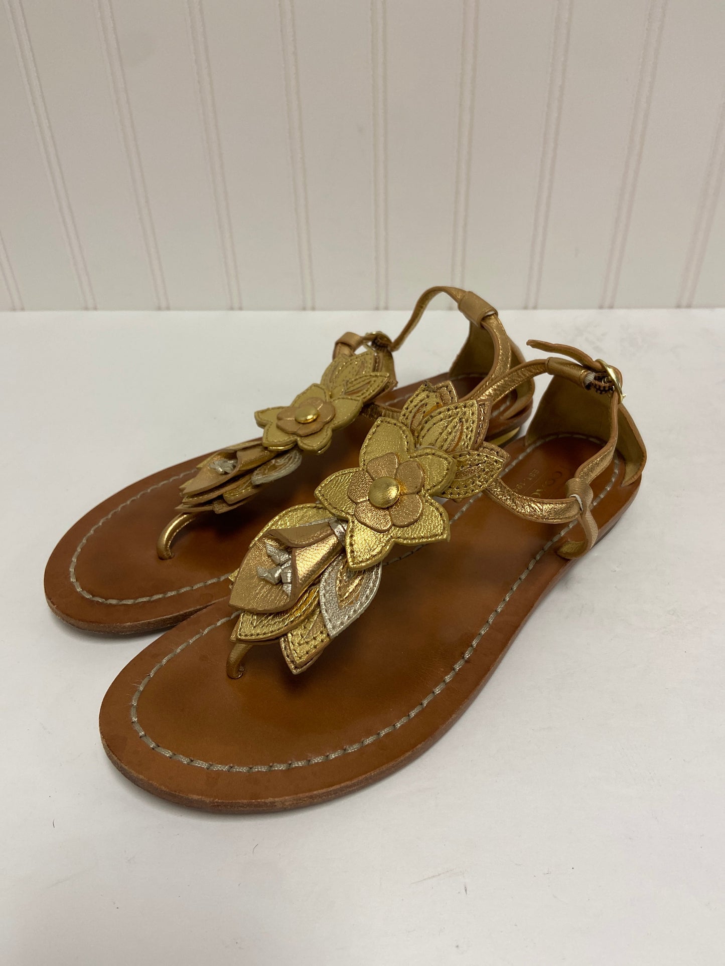 Gold Sandals Designer Coach, Size 7