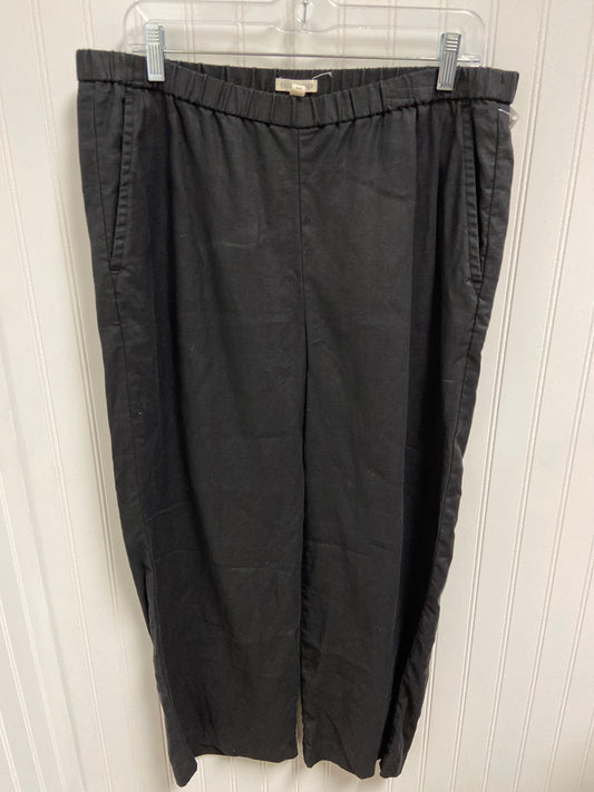 Pants Linen By Eileen Fisher In Black, Size: 10